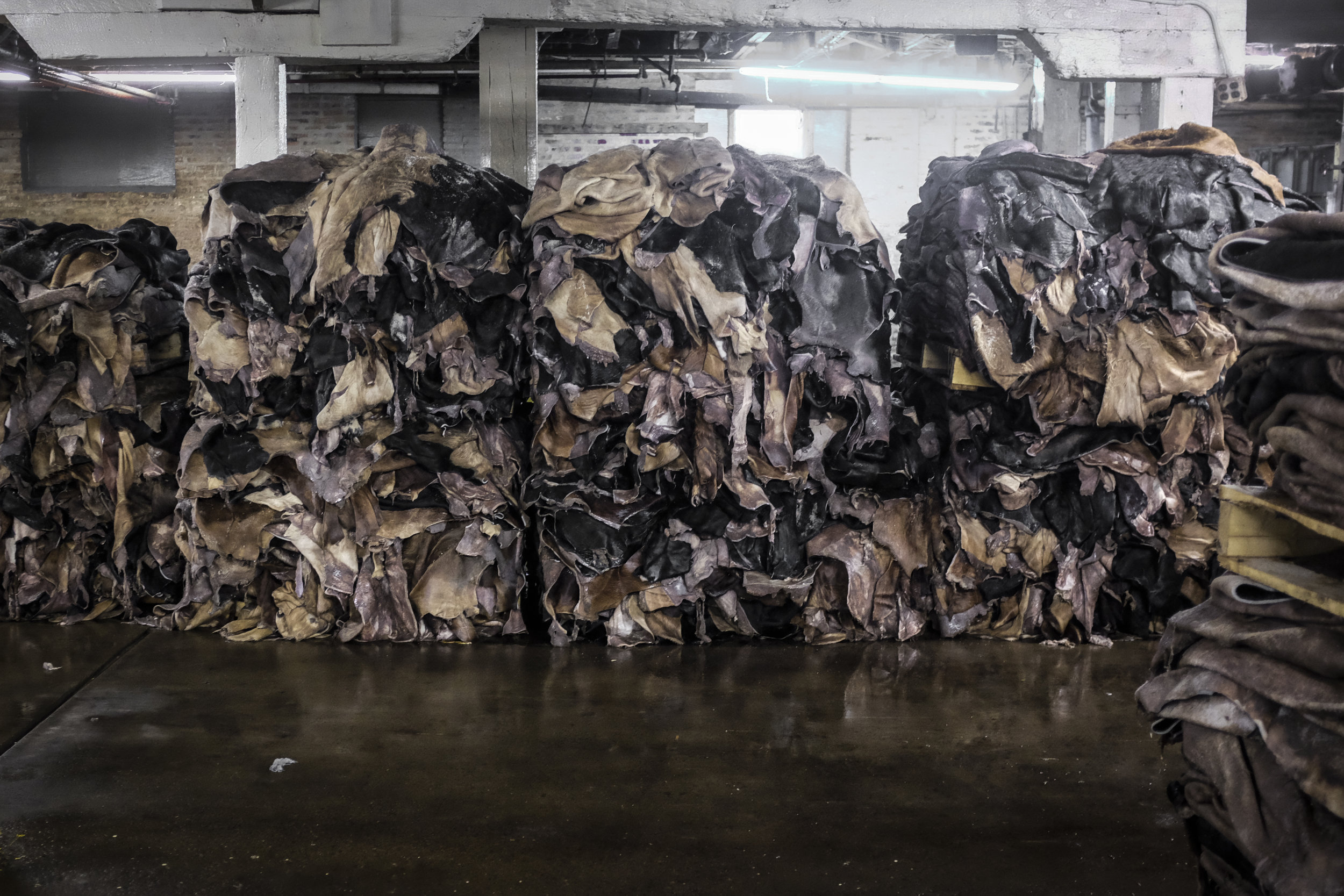 Black Bear Brand at the Horween Tannery