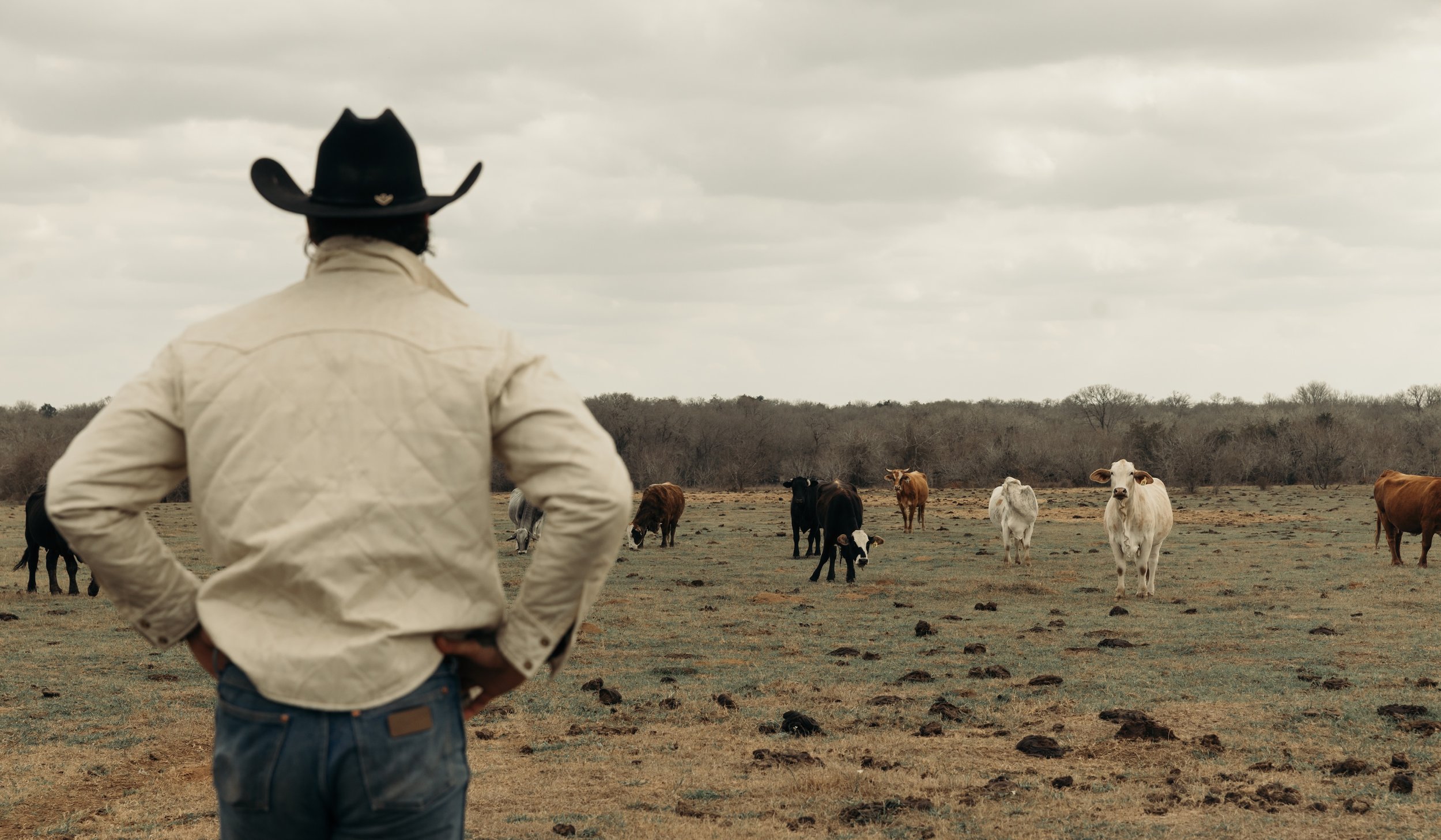 Black Bear Brand IVORY Wax Canvas Quilted by Hand Ultimate Jacket