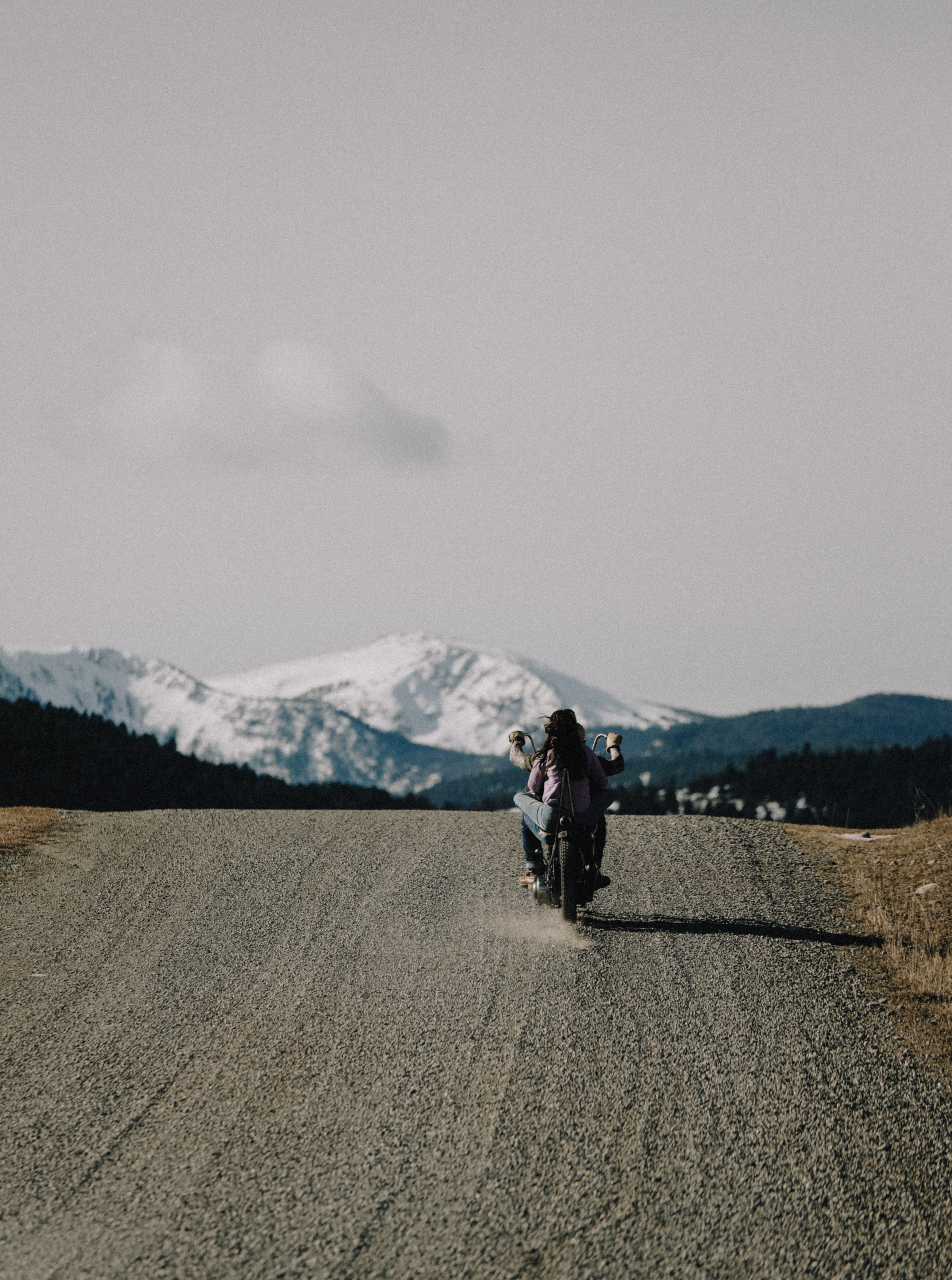 Black Bear Brand WOMAN - LAVENDER Embroidery... Western P-Snap Shirt