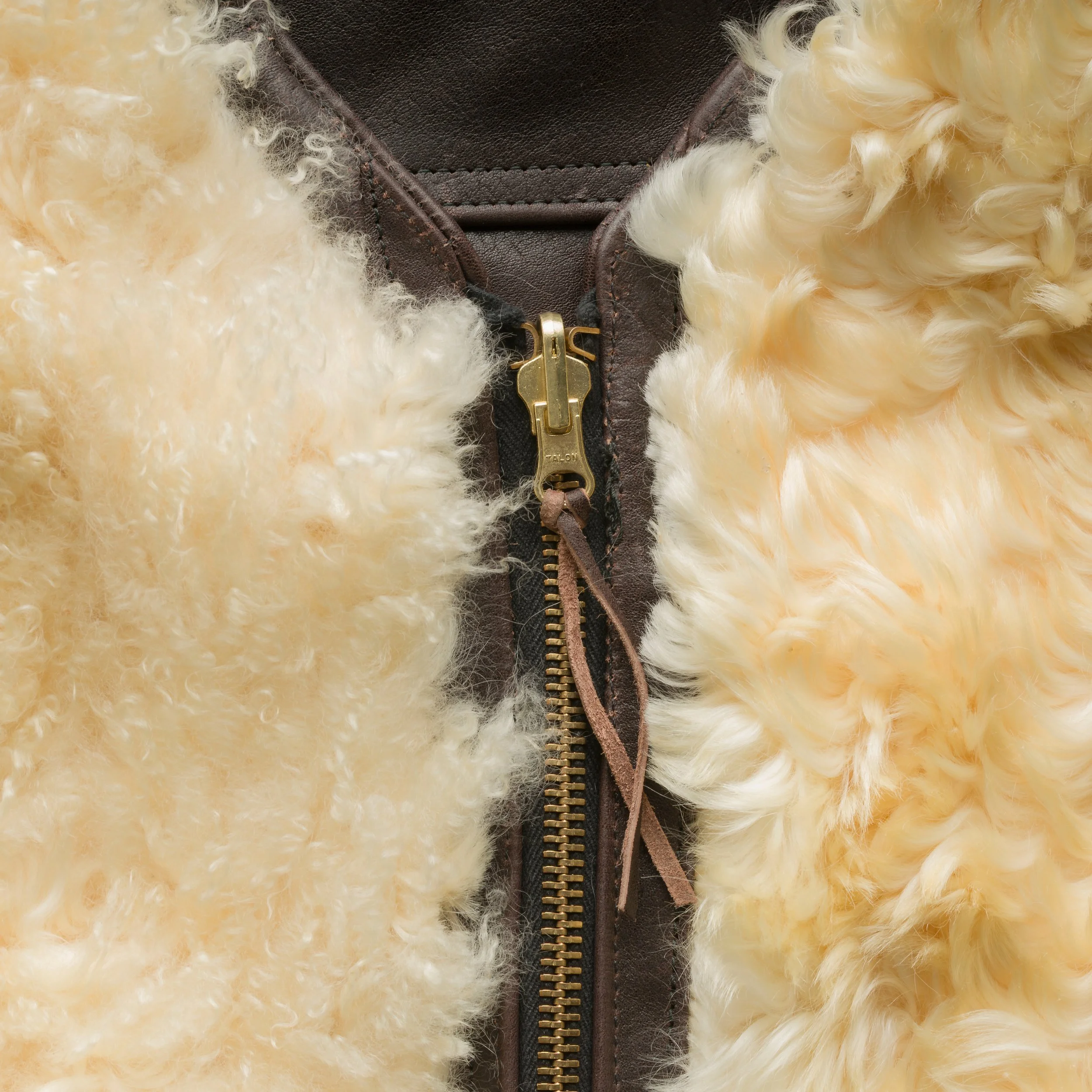 BlackBear_Union 8815 SQ.jpg