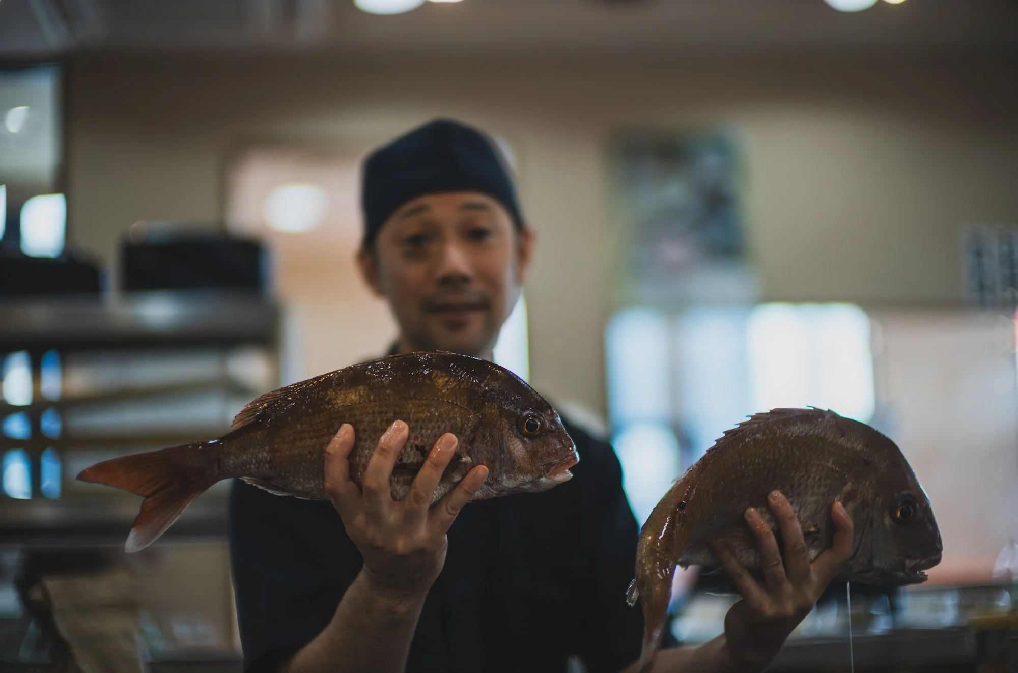 Black Bear Brand - Overalls "vintage" Collaboration with TCB