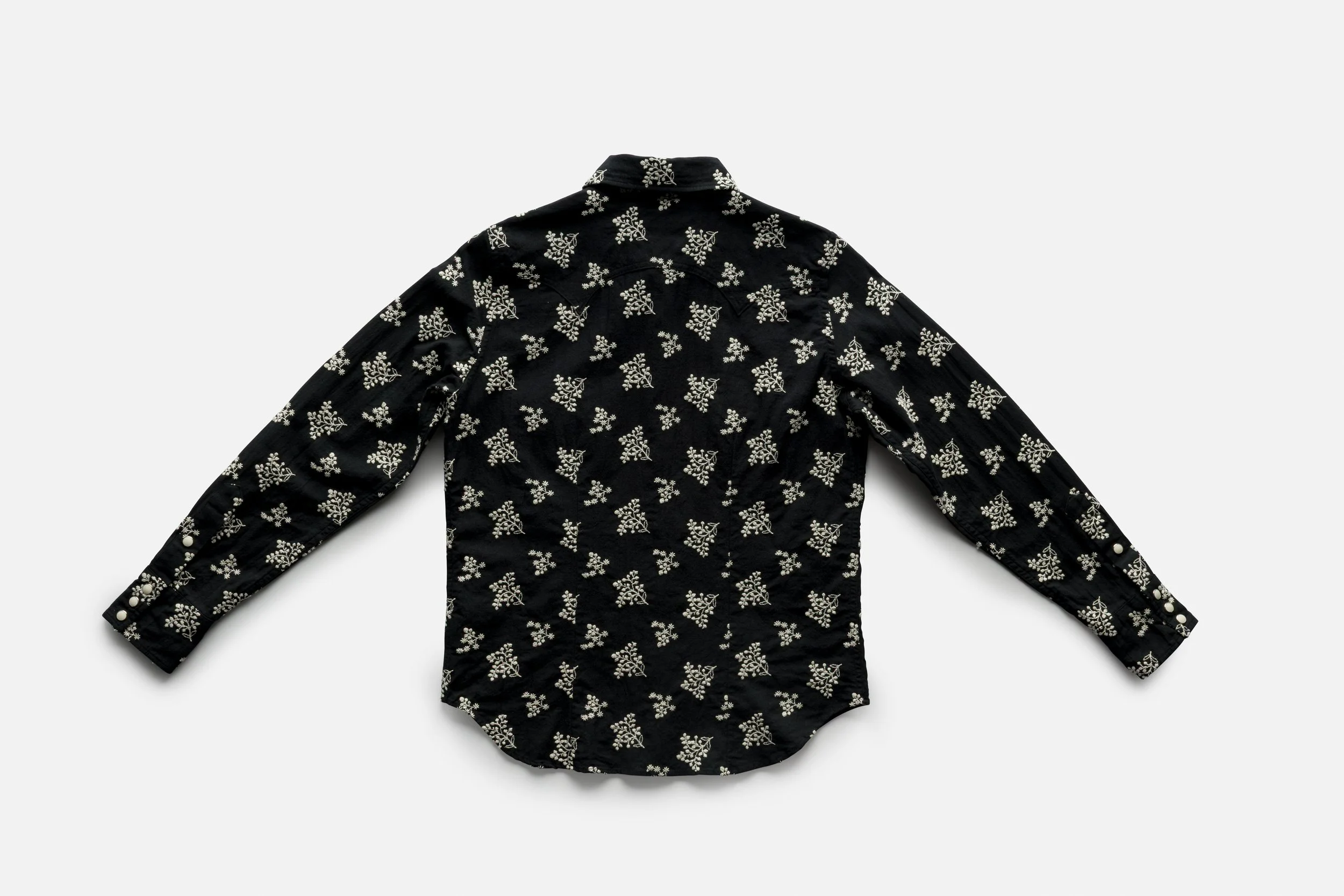 BlackBear_Union 4783 FULL.jpg