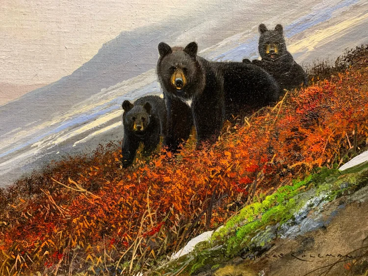 〜50s BLACK BEAR クルーザージャケット Black Bear Brand Factory-Store — Black Bear Brand