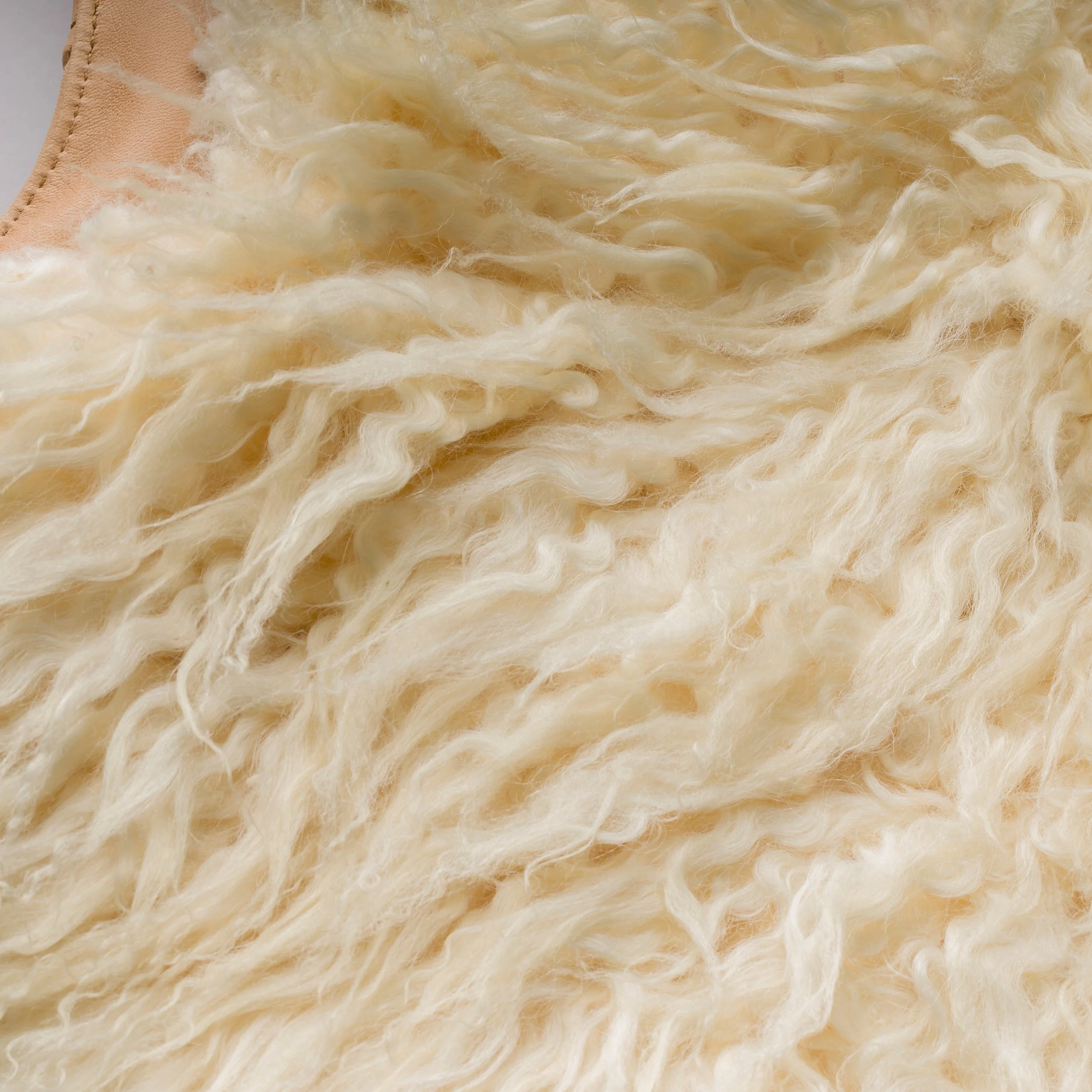 BlackBear_Union 9333 SQ.jpg