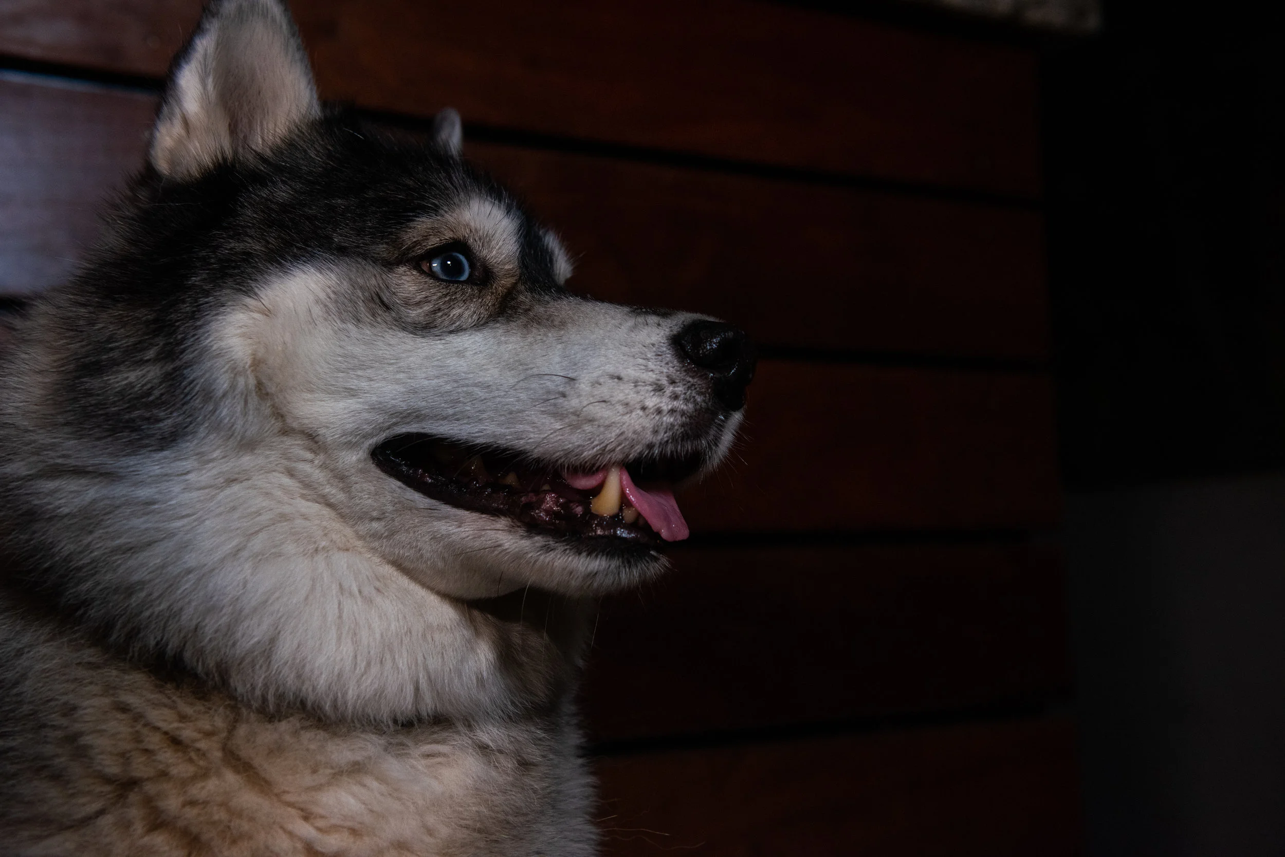 _DSC8074.jpg