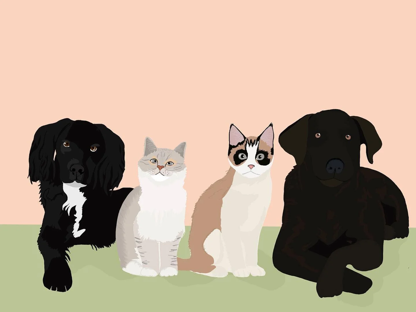 Vader, Peep, Houng, and Drake. 
#dailydrawing