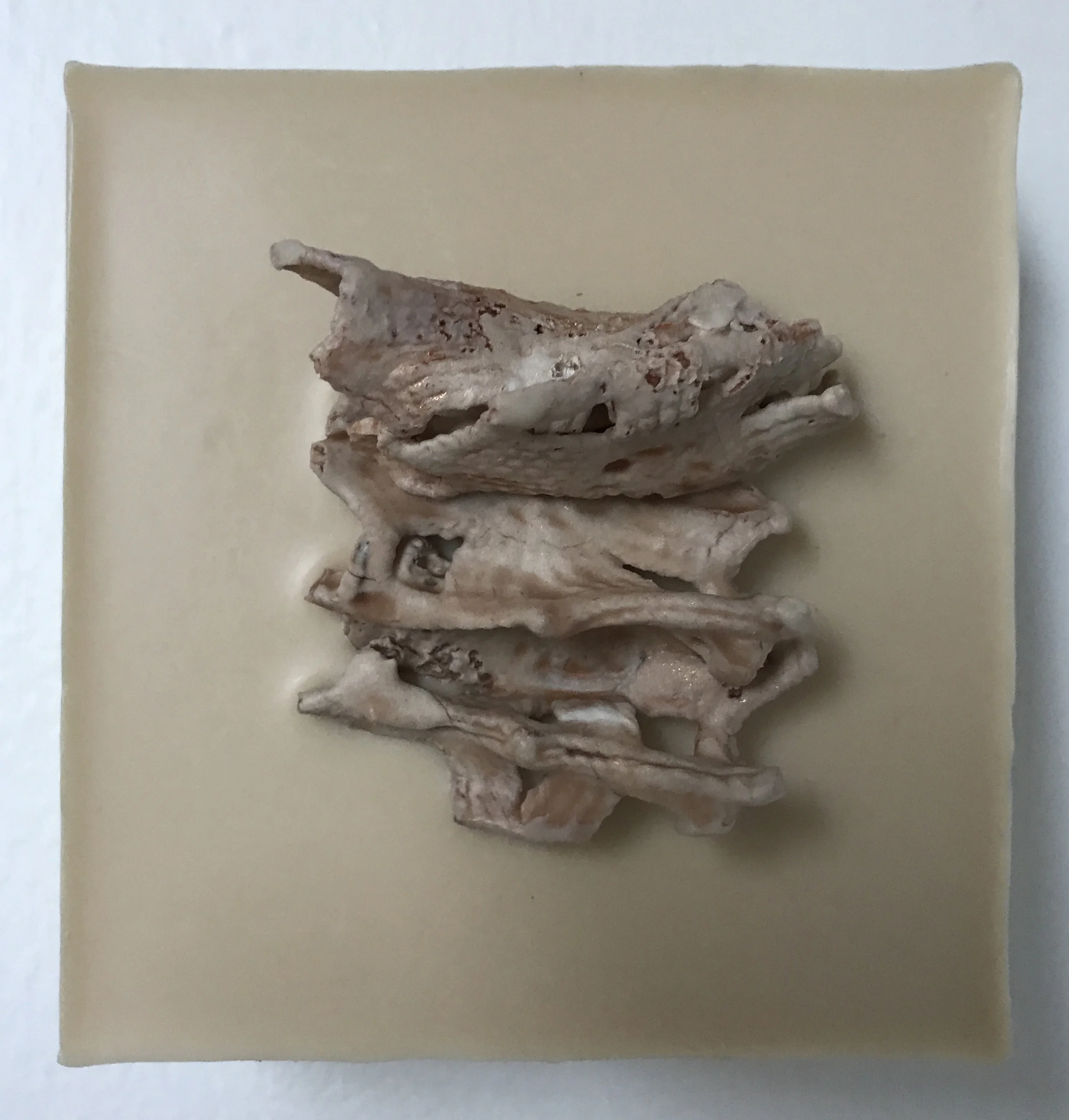 TEMPORAL BONE.jpg