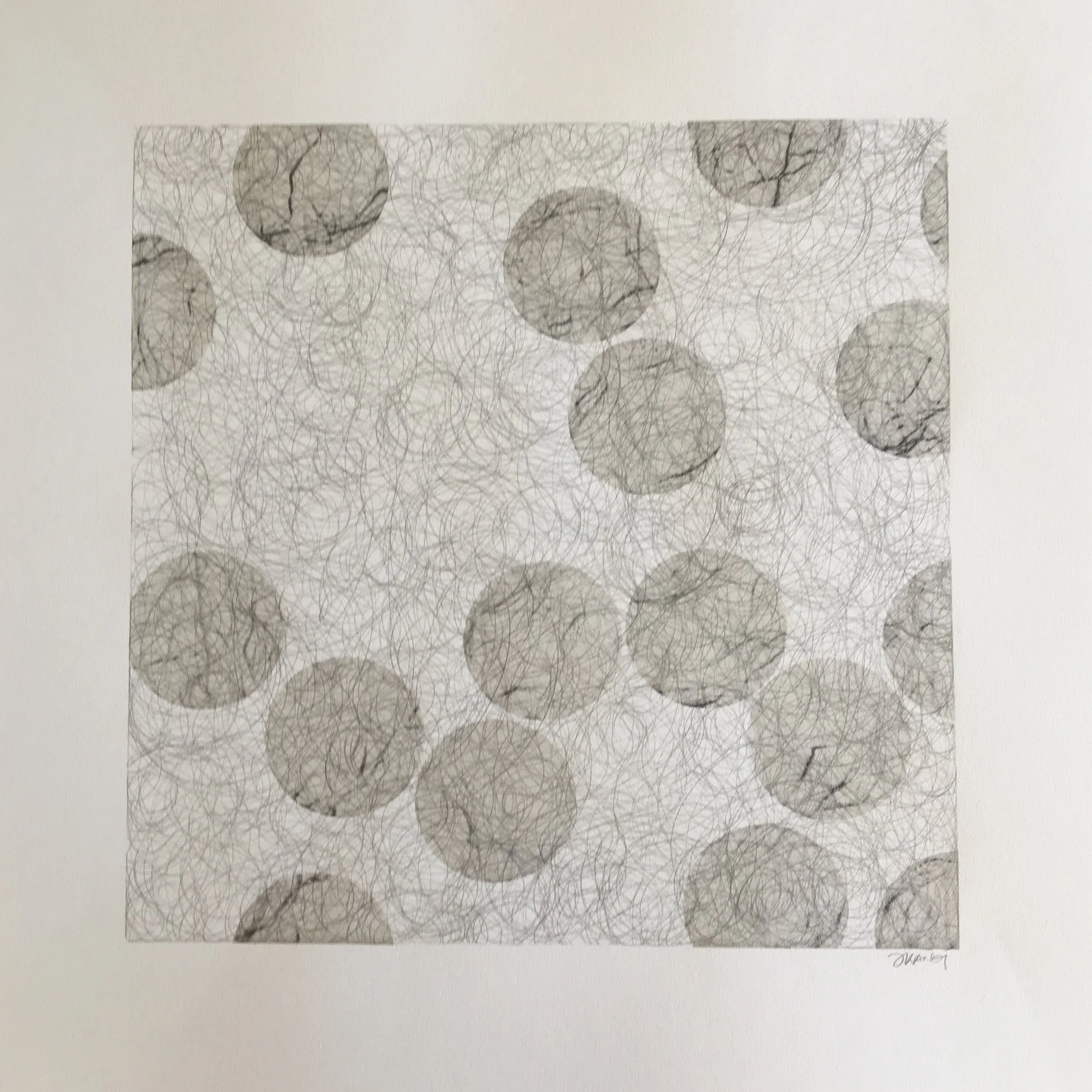 Circadian Circling.JPG