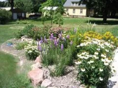 A rain garden that the City of Mercer Island recommends as an easy way to create bioretentive surfaces.