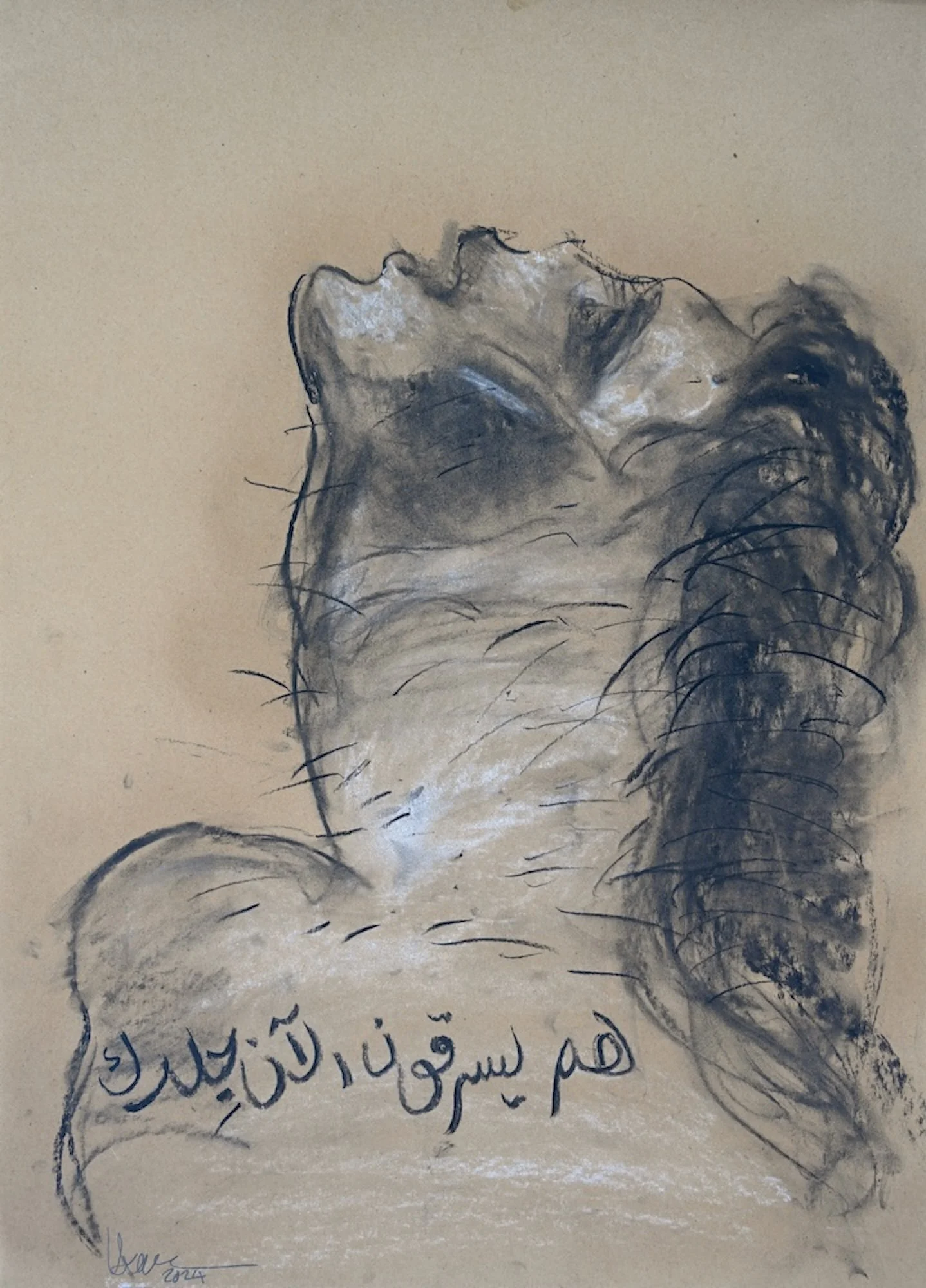 Stealing your skin by Hazem Harb.JPG