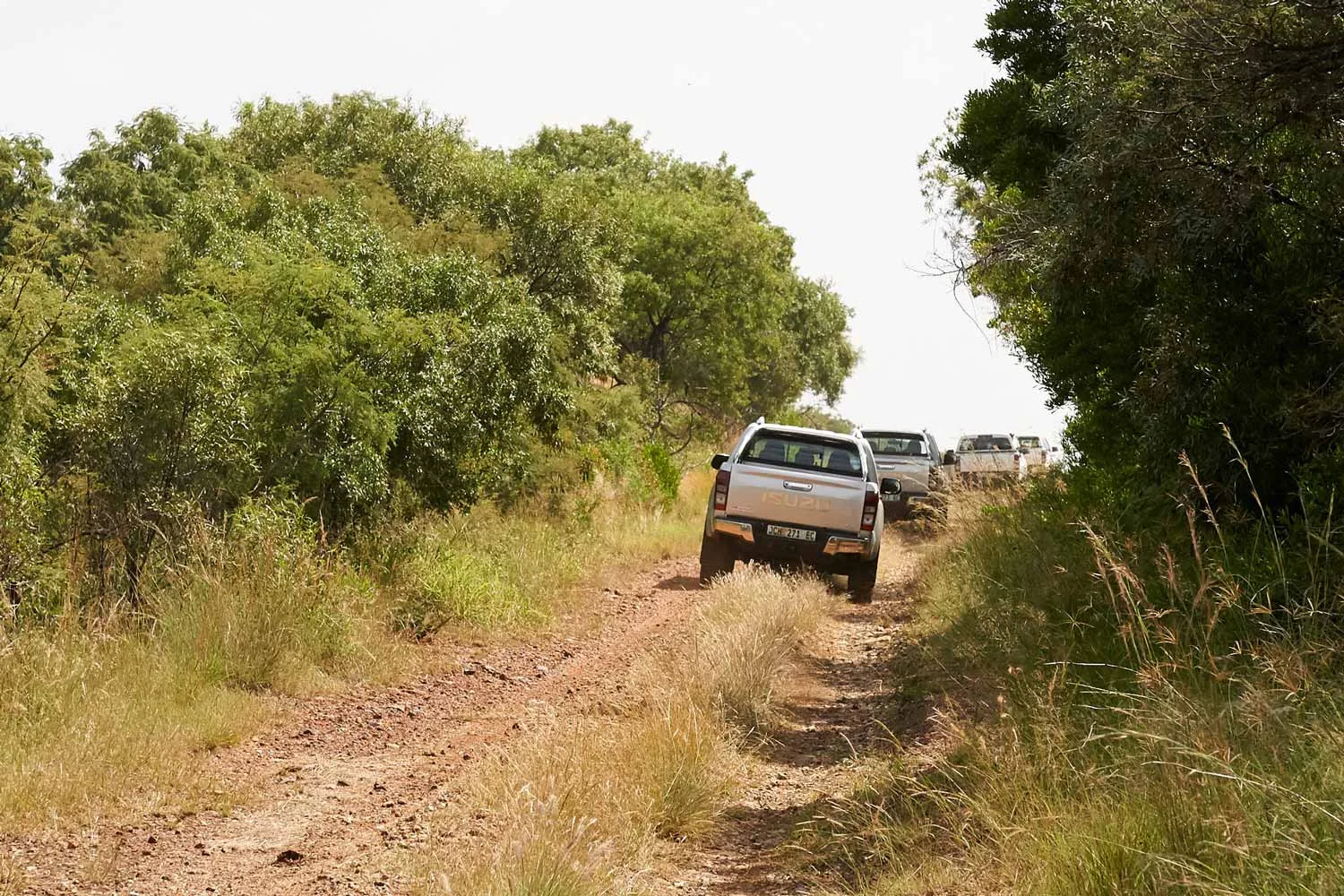 20180324_Isuzu_383.jpg