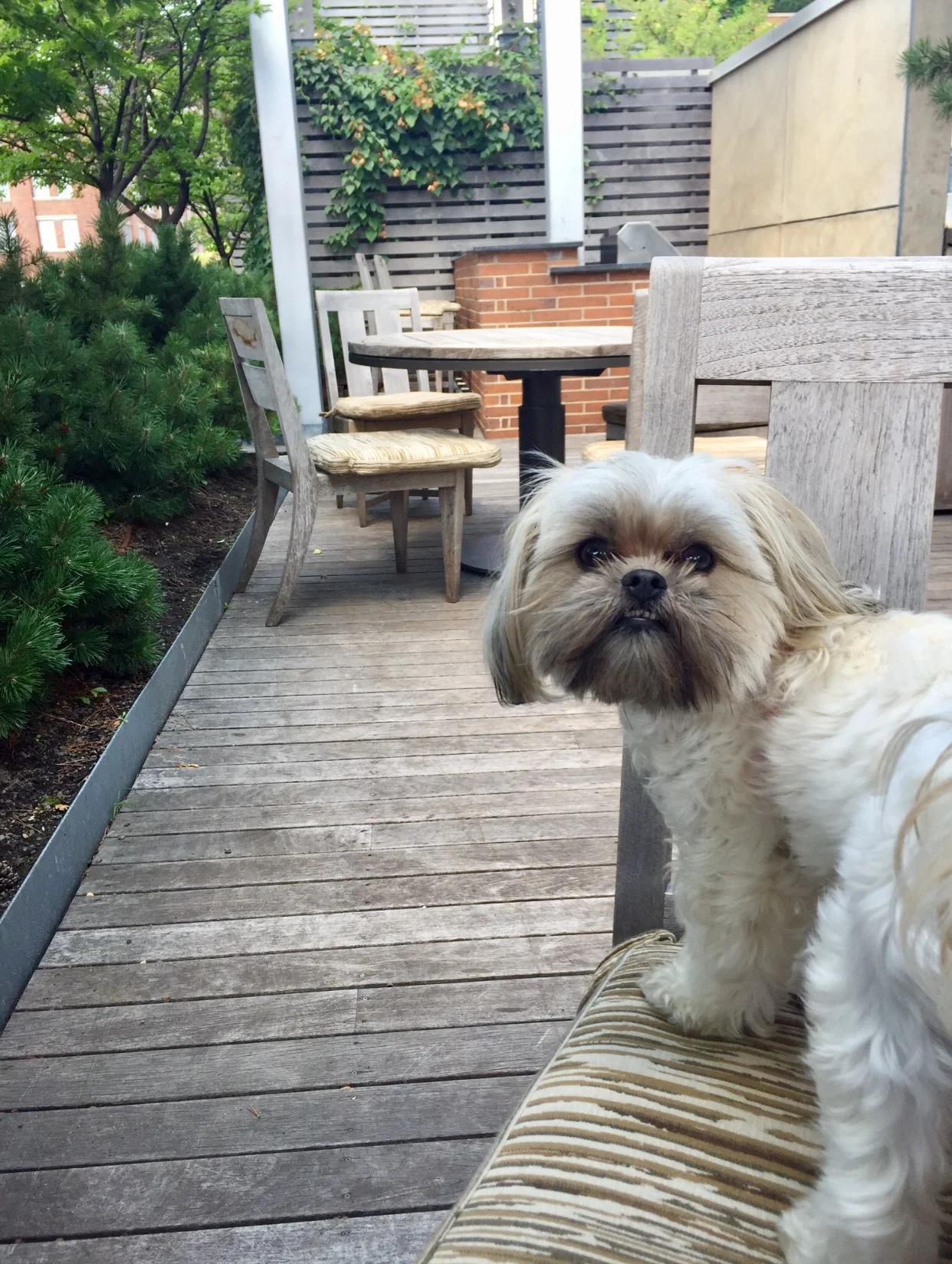 Bibi will miss the Caledonia too! (Pet friendly!)