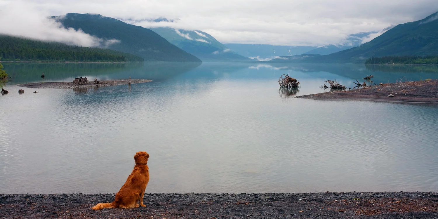 _MG_3658 MASTER ss IV.jpg