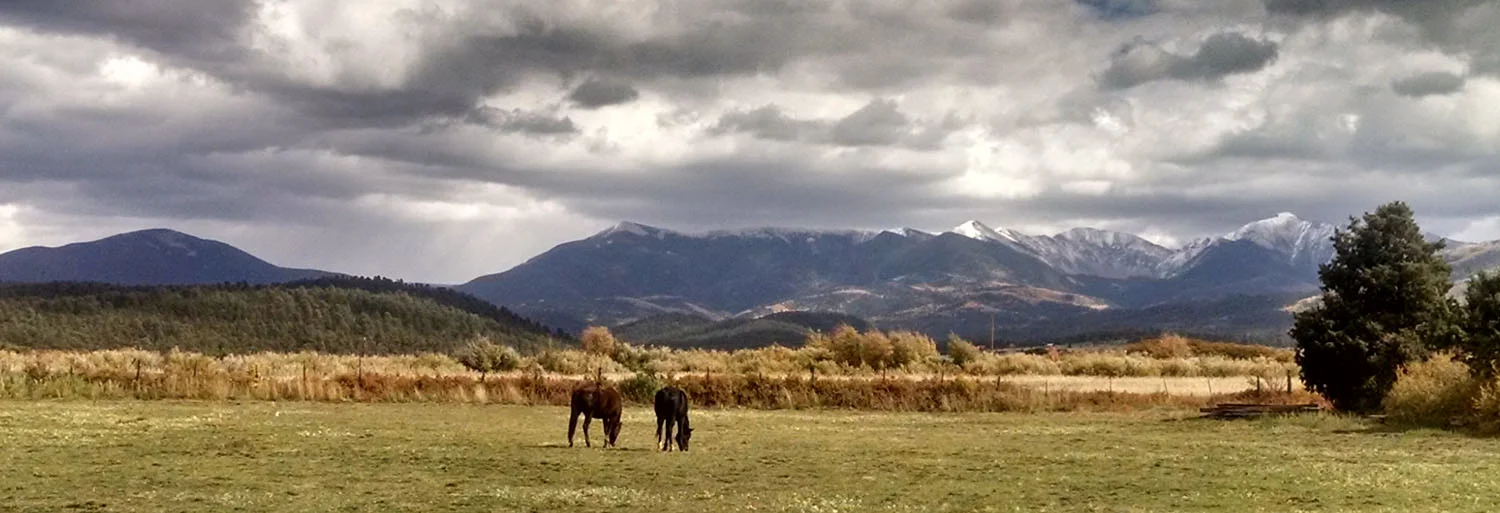 IMG_20141012_134714939_HDR copy.jpg