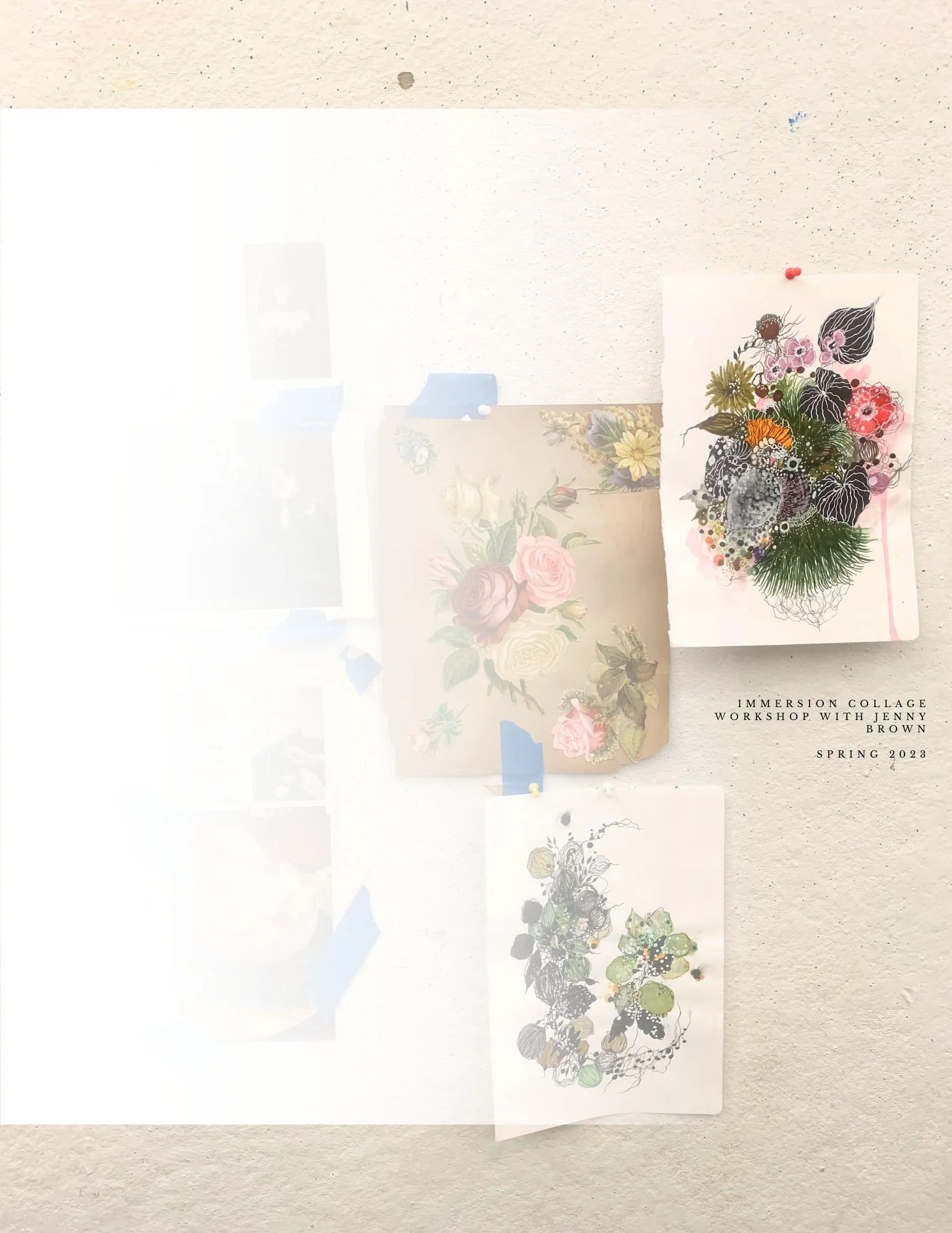 immersion collage.jpg
