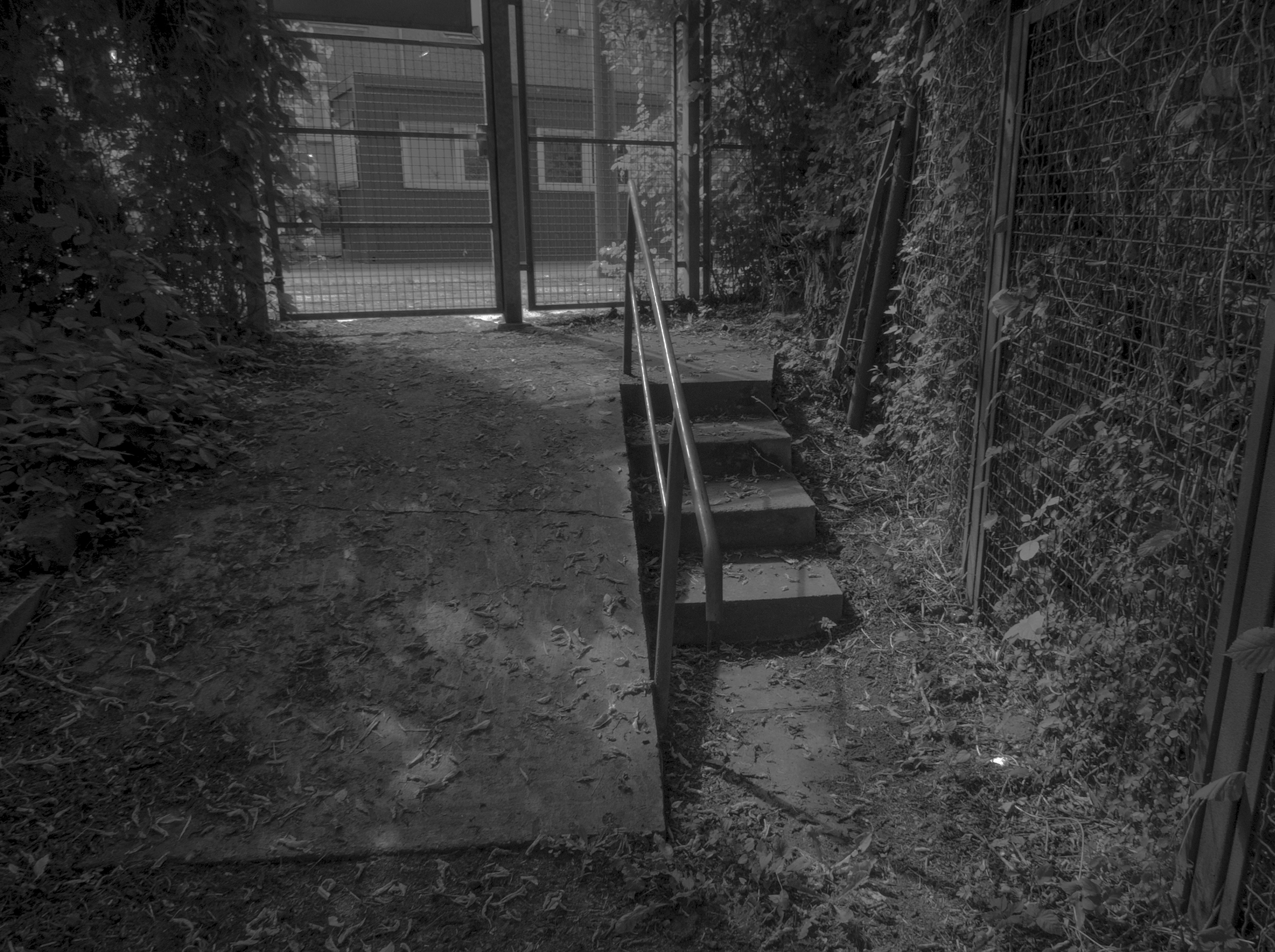 ramp and stairs.jpg