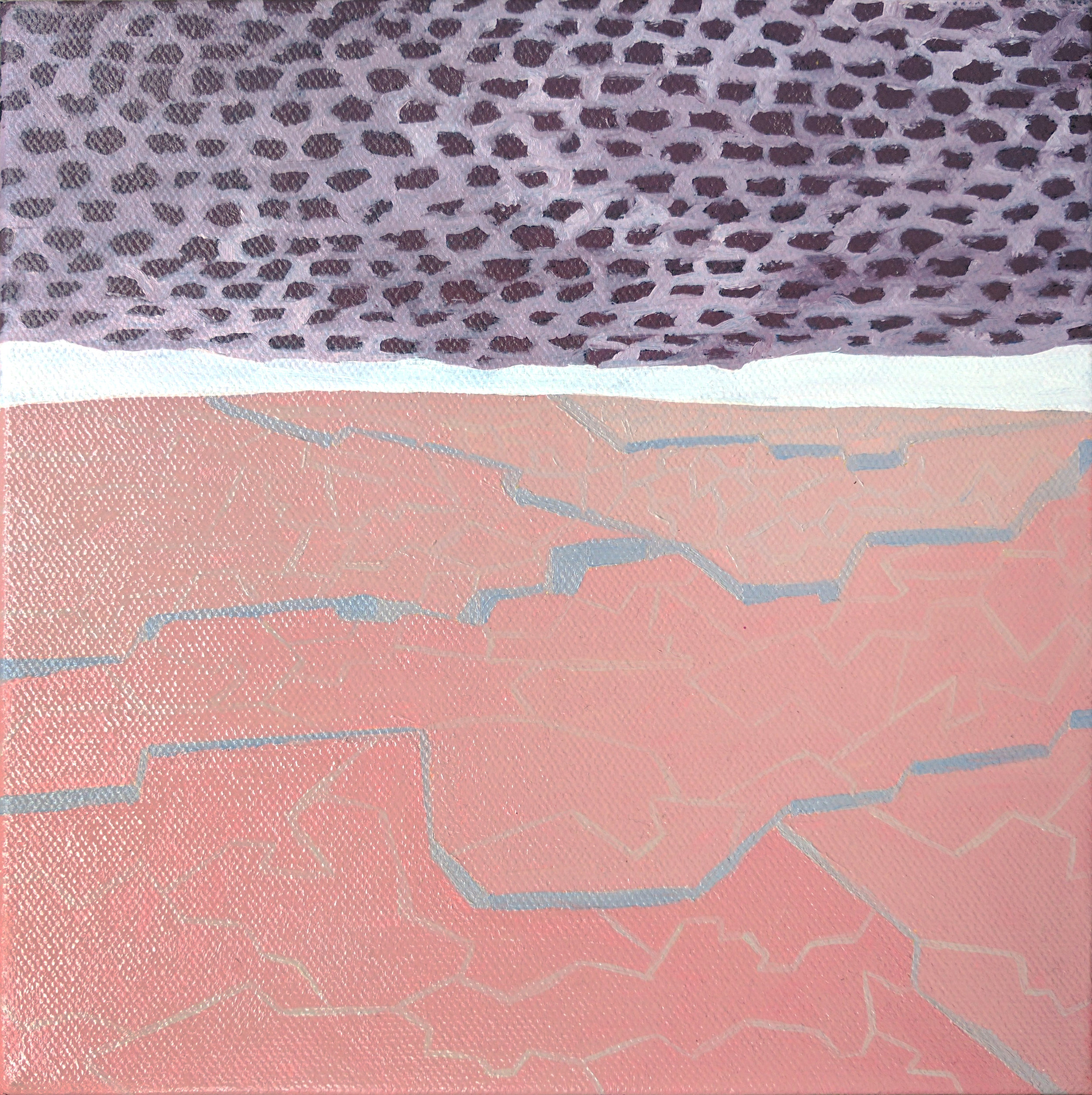  Desiccated 1  Oil on Canvas, 8" x 8", 2016, Available 