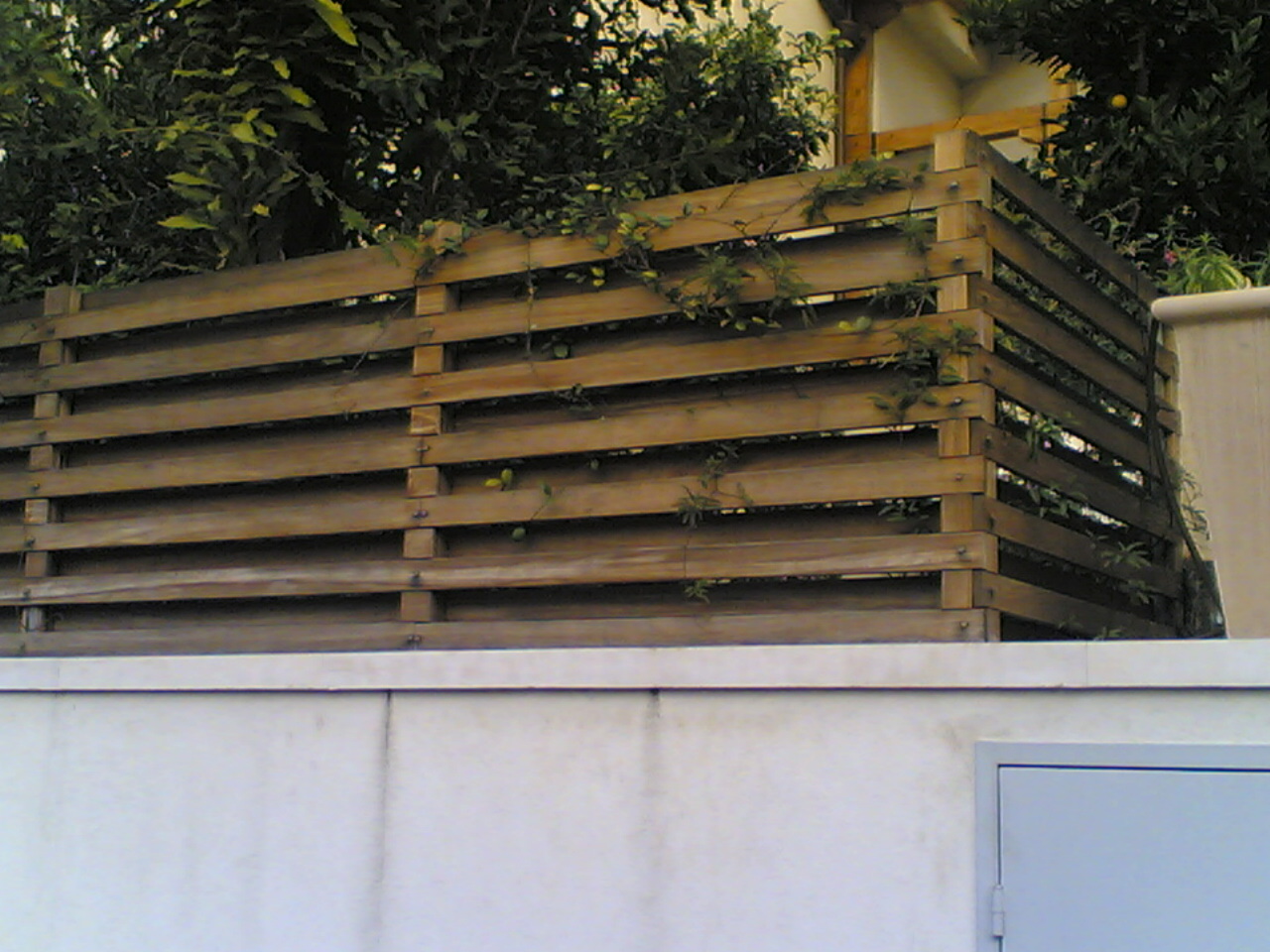 06012006.jpg