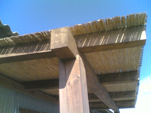 11062006.jpg