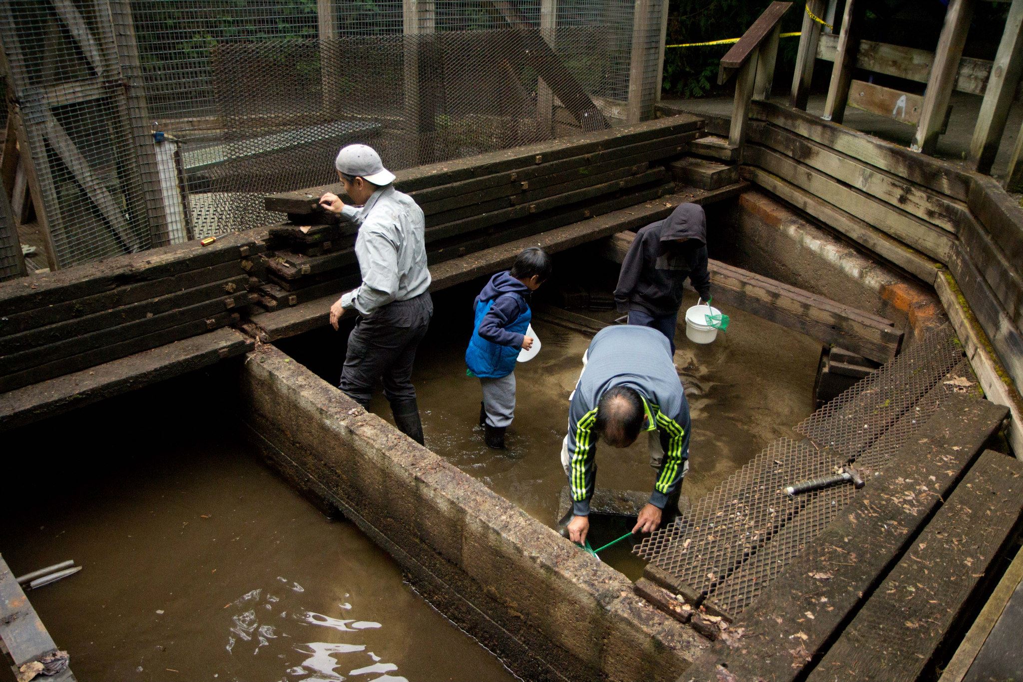 Pond-Clean-HSWS.jpg