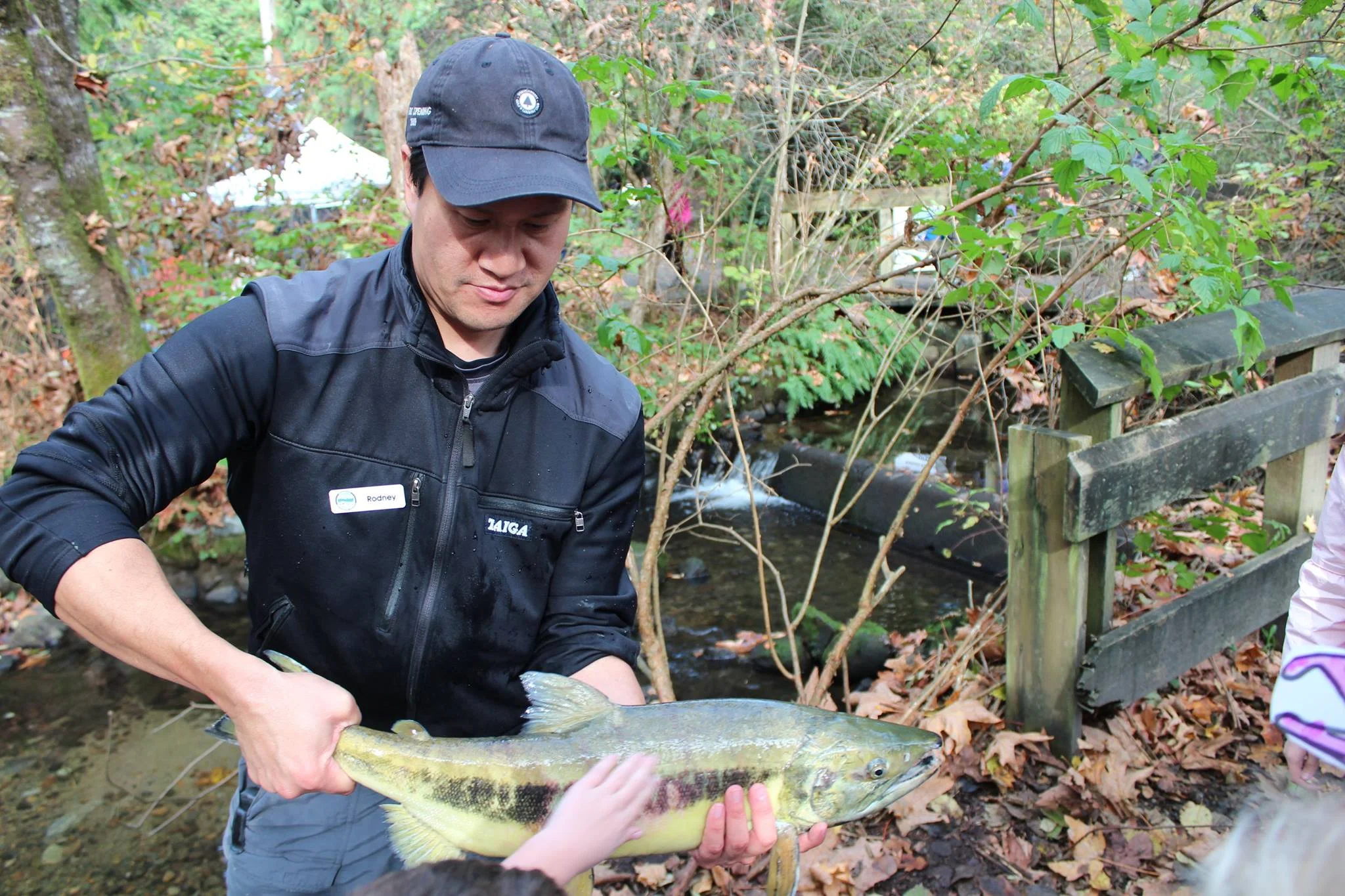 Rodney holds a chum salmon beside Hoy Creek during our Salmon Come Home Festival in October.