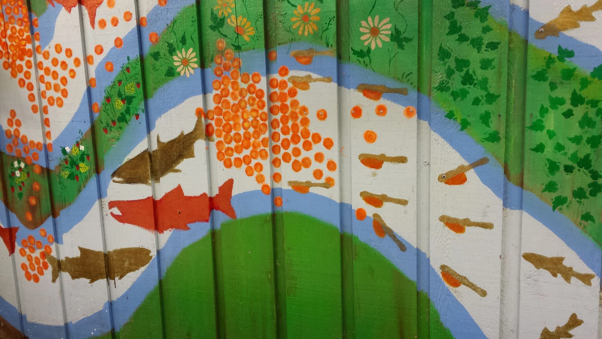 A lifecycle mural on the wall of our Capilano trough room. Artwork by Patricia Gaspar