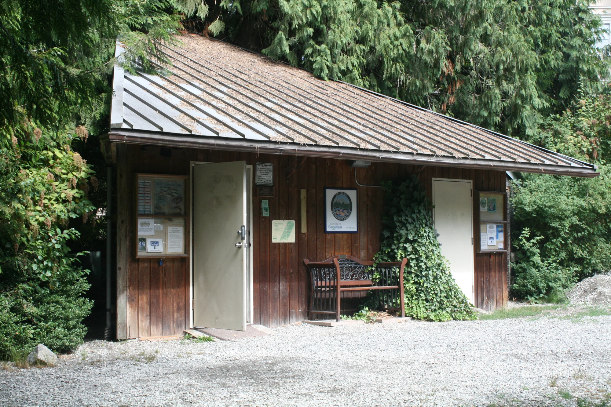 Hoy Creek Hatchery is located east of Douglas College David Lam campus in Coquitlam, along Hoy Trail.
