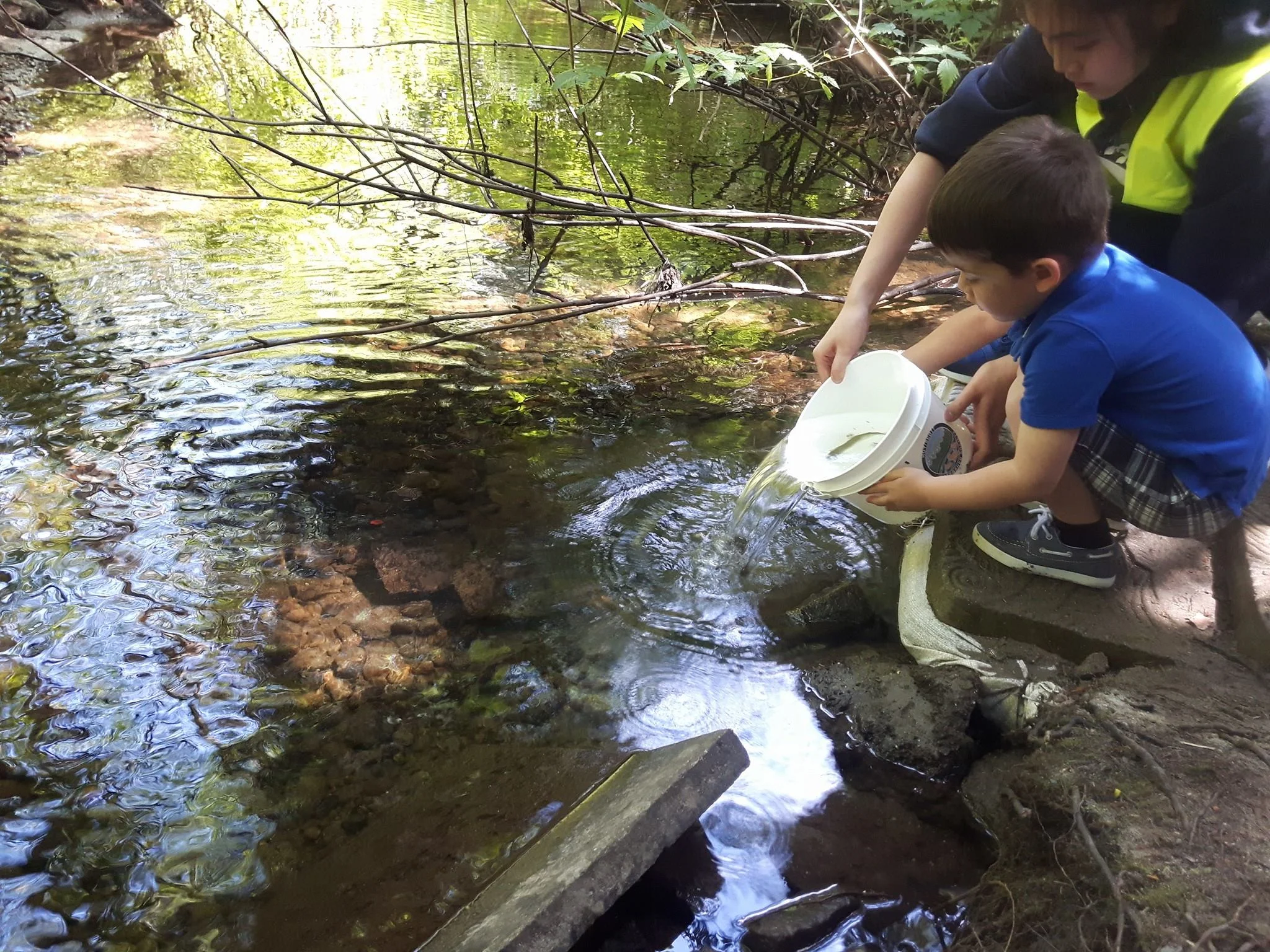 A boy releases coho into Hoy Creek during the 2018 event assisted by a Hoy-Scott Watershed Society volunteer (Photo: Robbin Whachell)