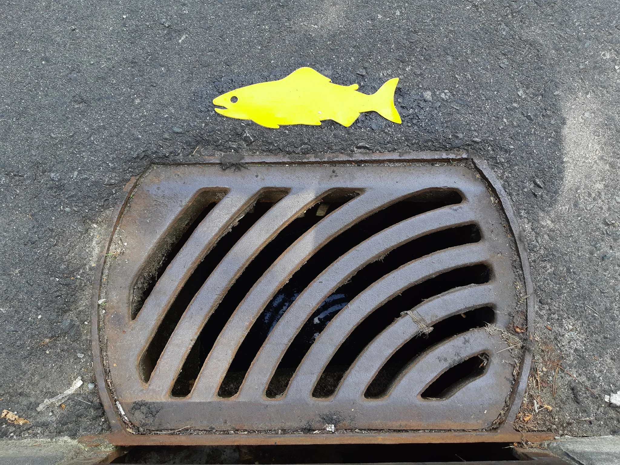 A new fish marker by a storm drain. HSWS members will be updating storm drains on streets north of the hatchery over the summer months. (HSWS photo)