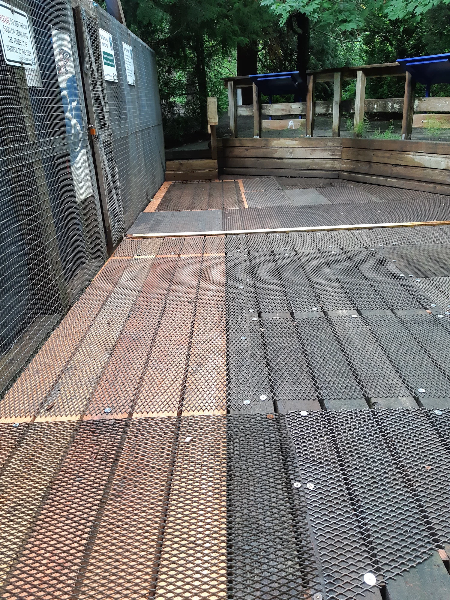 HSWS rearing pond boards.jpg