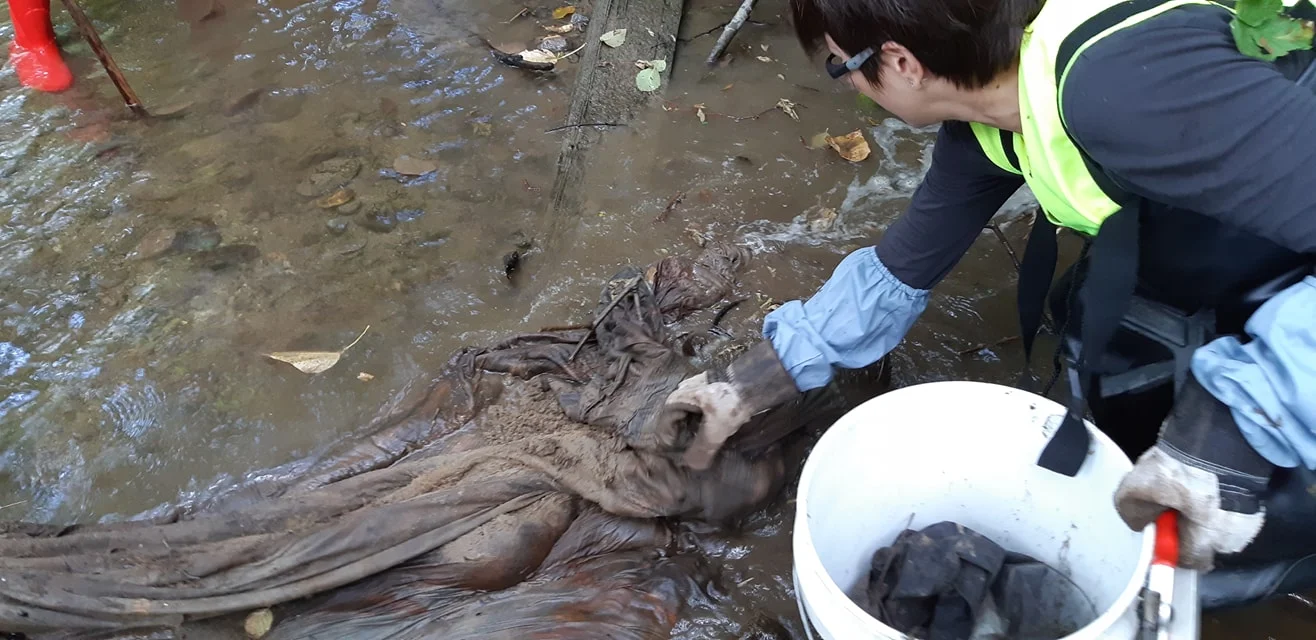 Helena removes a bed sheet from the stream. (Scott Creek)