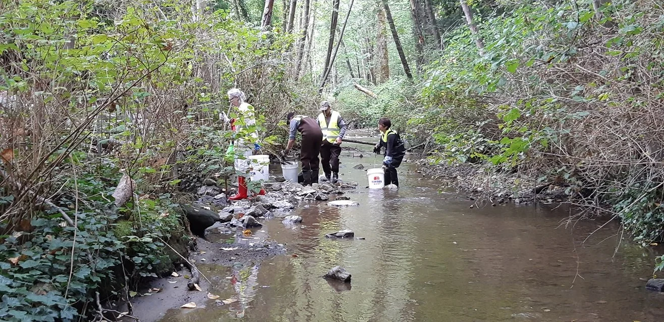 Volunteers collecting trash along Scott Creek north of Runnel Dr.