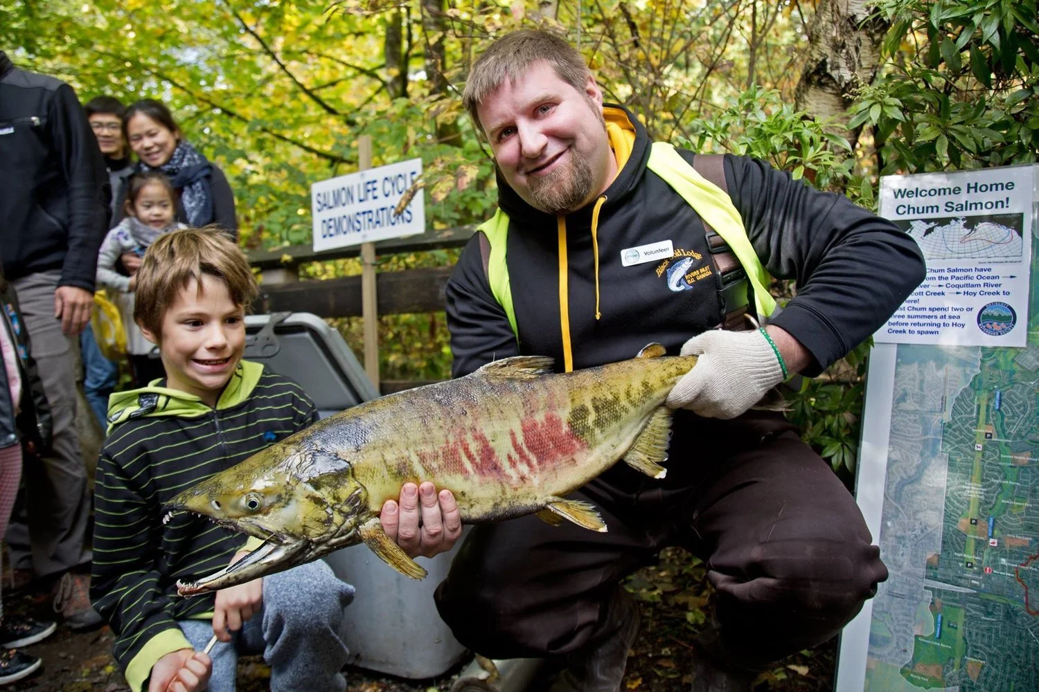 HSWS volunteer, AJ holds up a chum salmon for viewing at Salmon Come Home (Photo: City of Coquitlam)