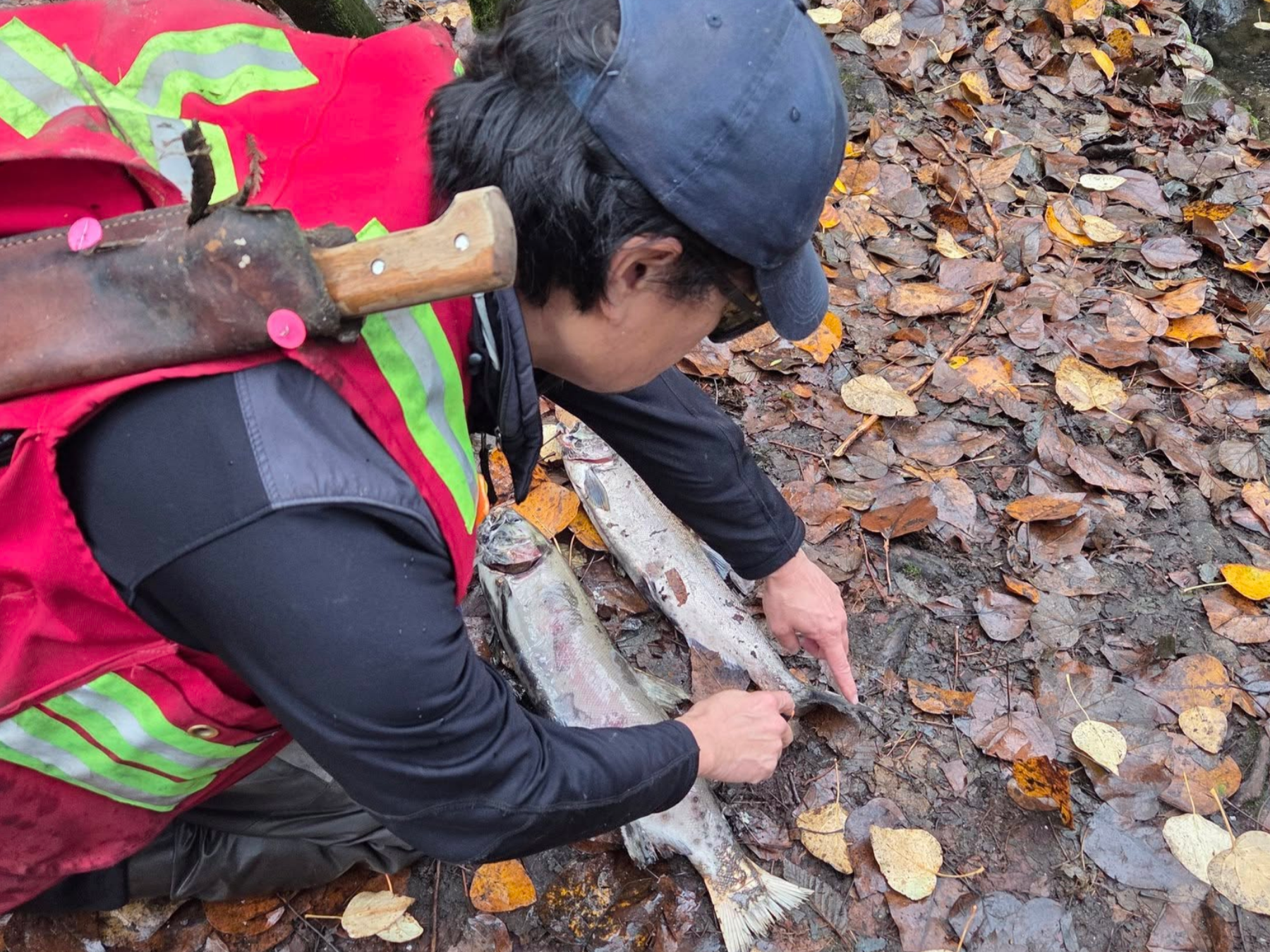 Screen Shot 2026-03-25 at 10.28.16 PM.png