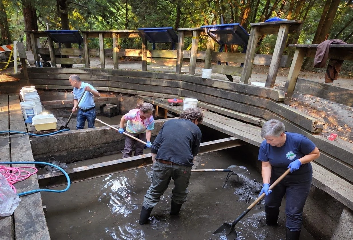 HSWS Rearing Pond Clean 2026.jpg