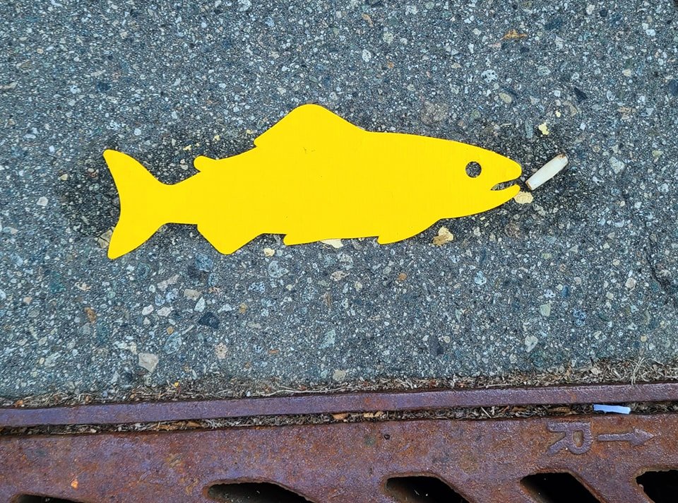 Storm Drains Marked before Salmon Return — Hoy-Scott Watershed Society