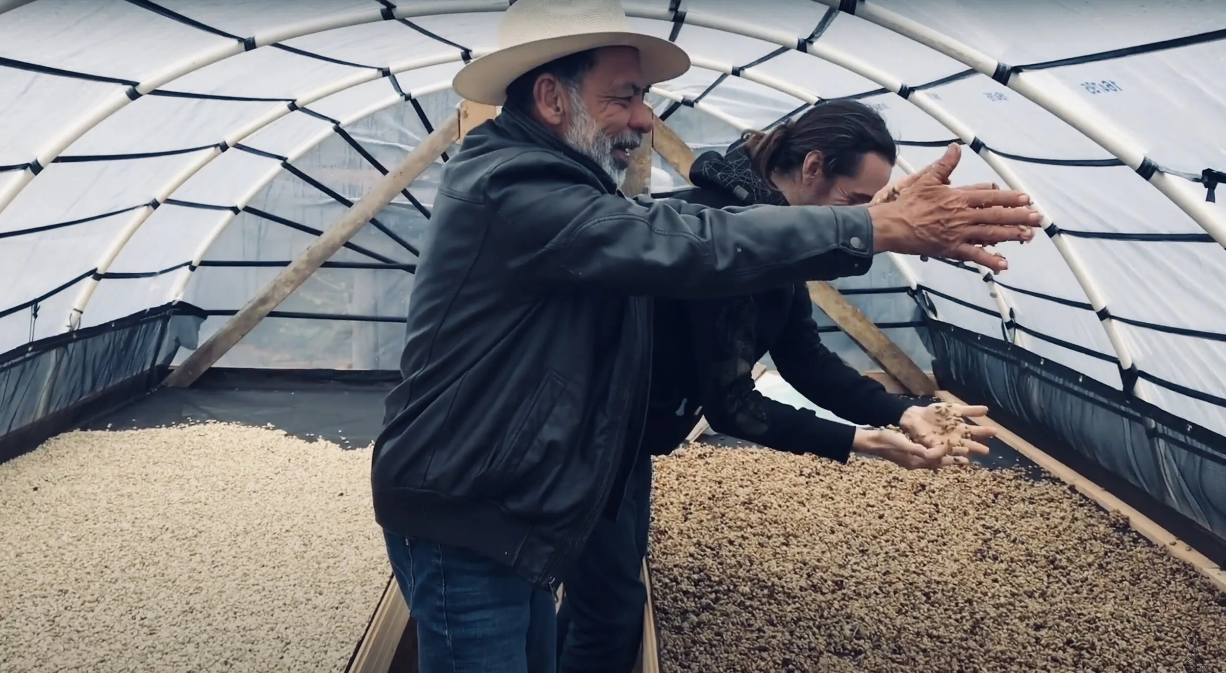 Honey Process.jpeg