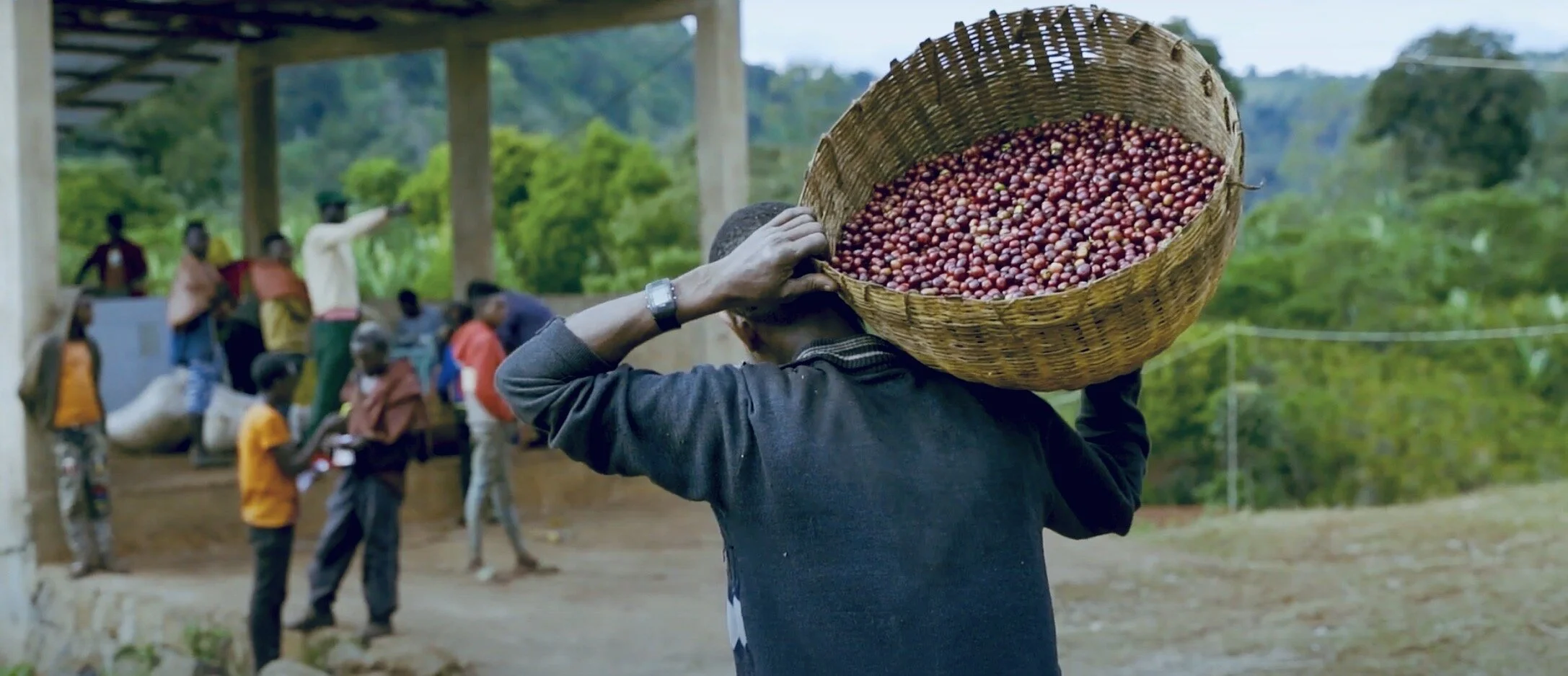 Worka Sakaro SNAP.jpeg