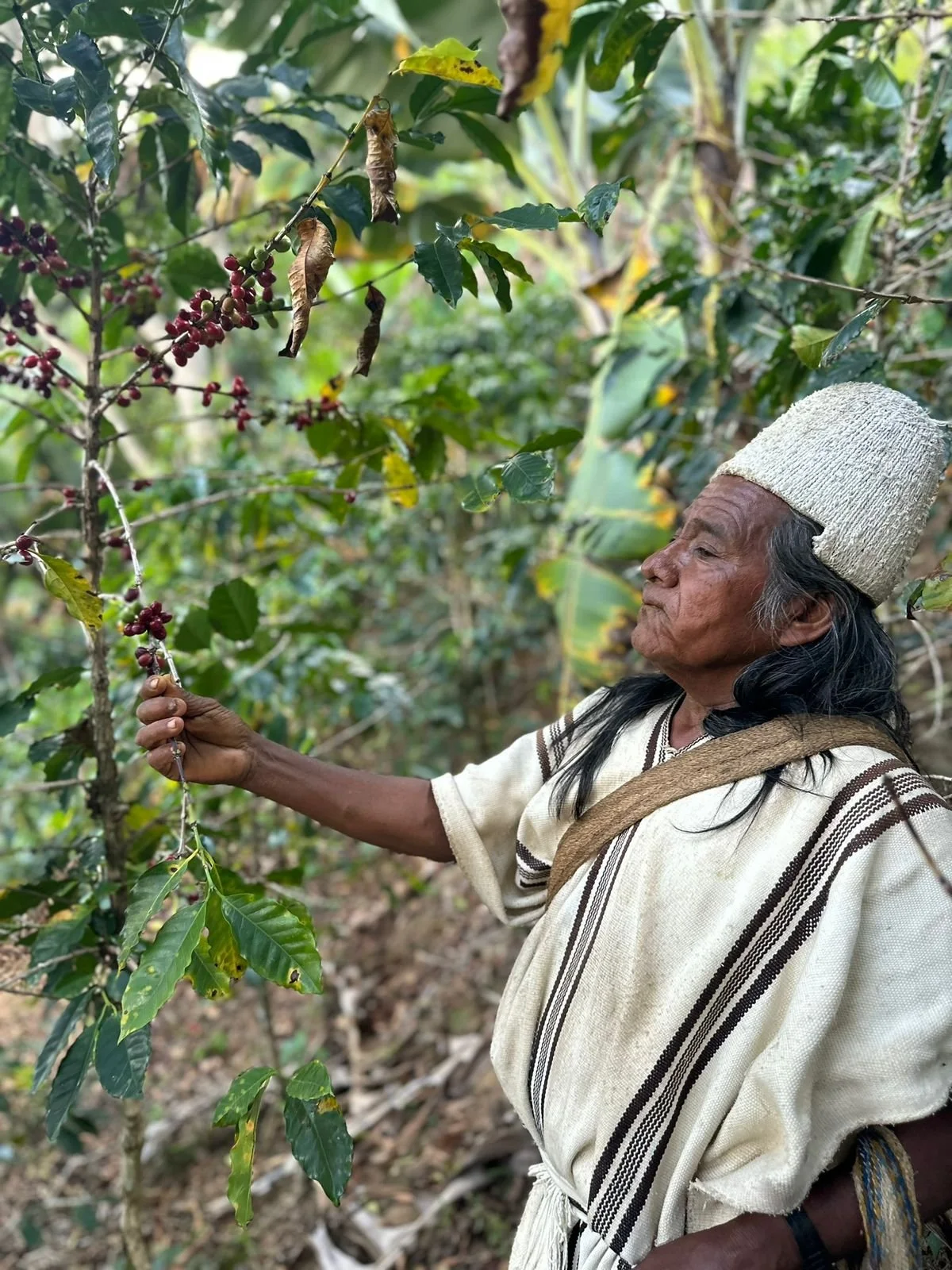 Santa Marta Pics (15).jpeg