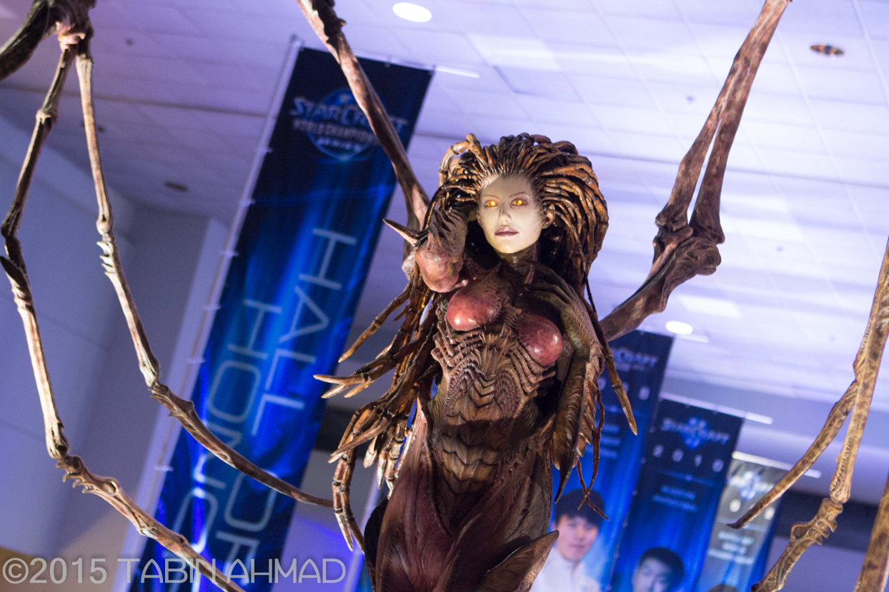 BlizzCon-2014-28.jpg