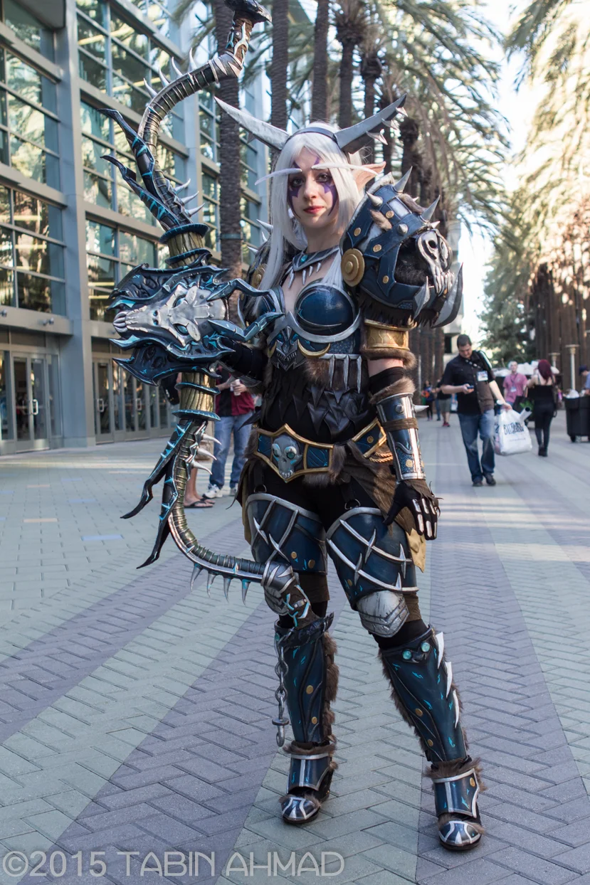 BlizzCon-2014-31.jpg