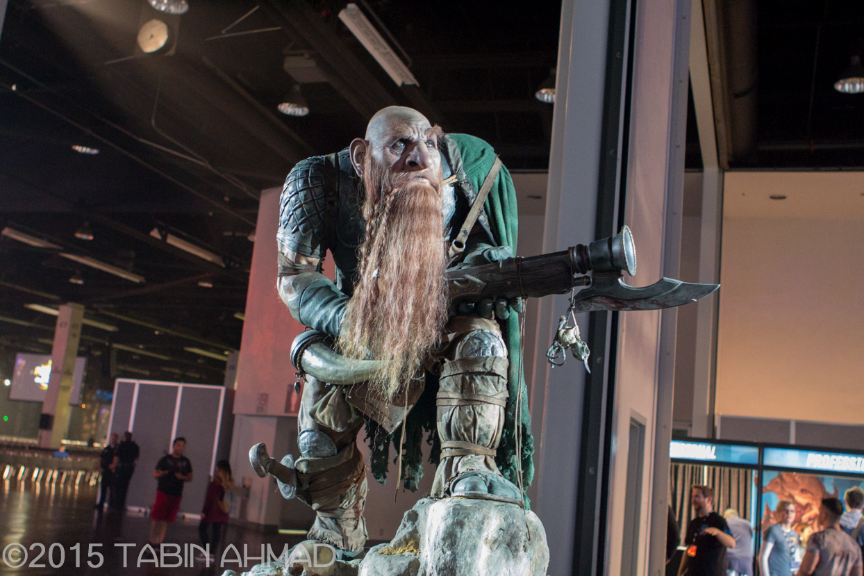 BlizzCon-2014-38.jpg