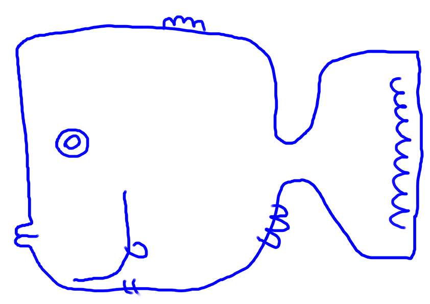 fish__0001_Layer 21 copy.jpg