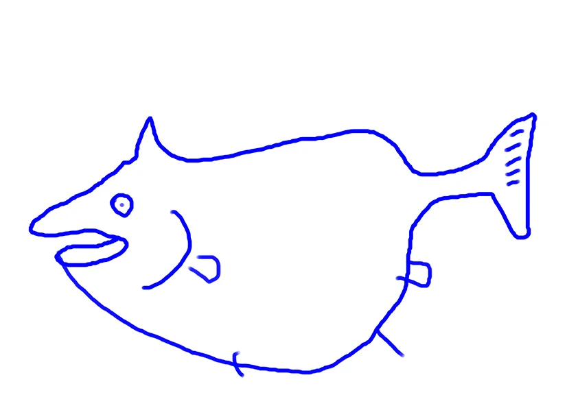 fish__0002_Layer 14 copy.jpg