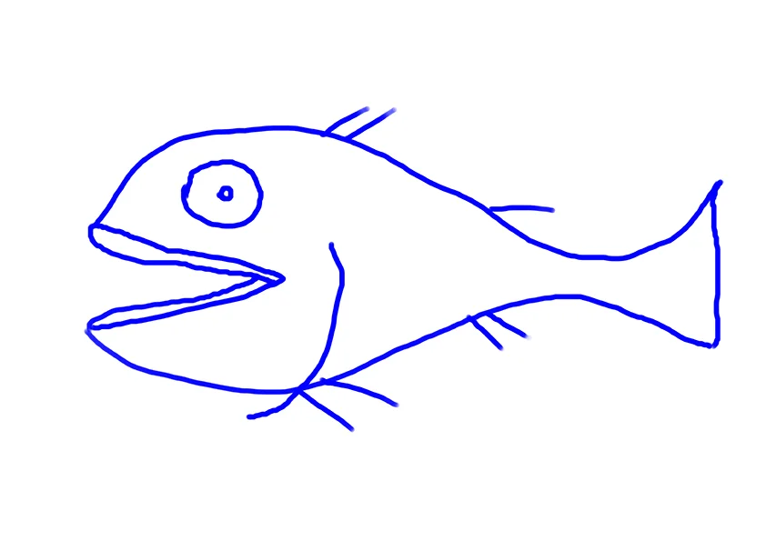 fish__0011_Layer 3.jpg