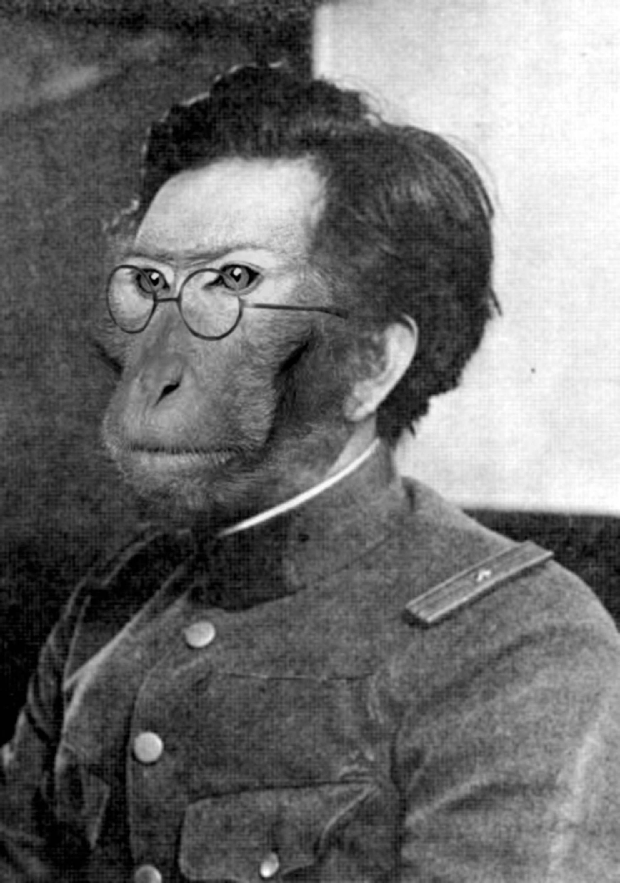Shiro-ishii [maruta (丸太) _logs,_].png
