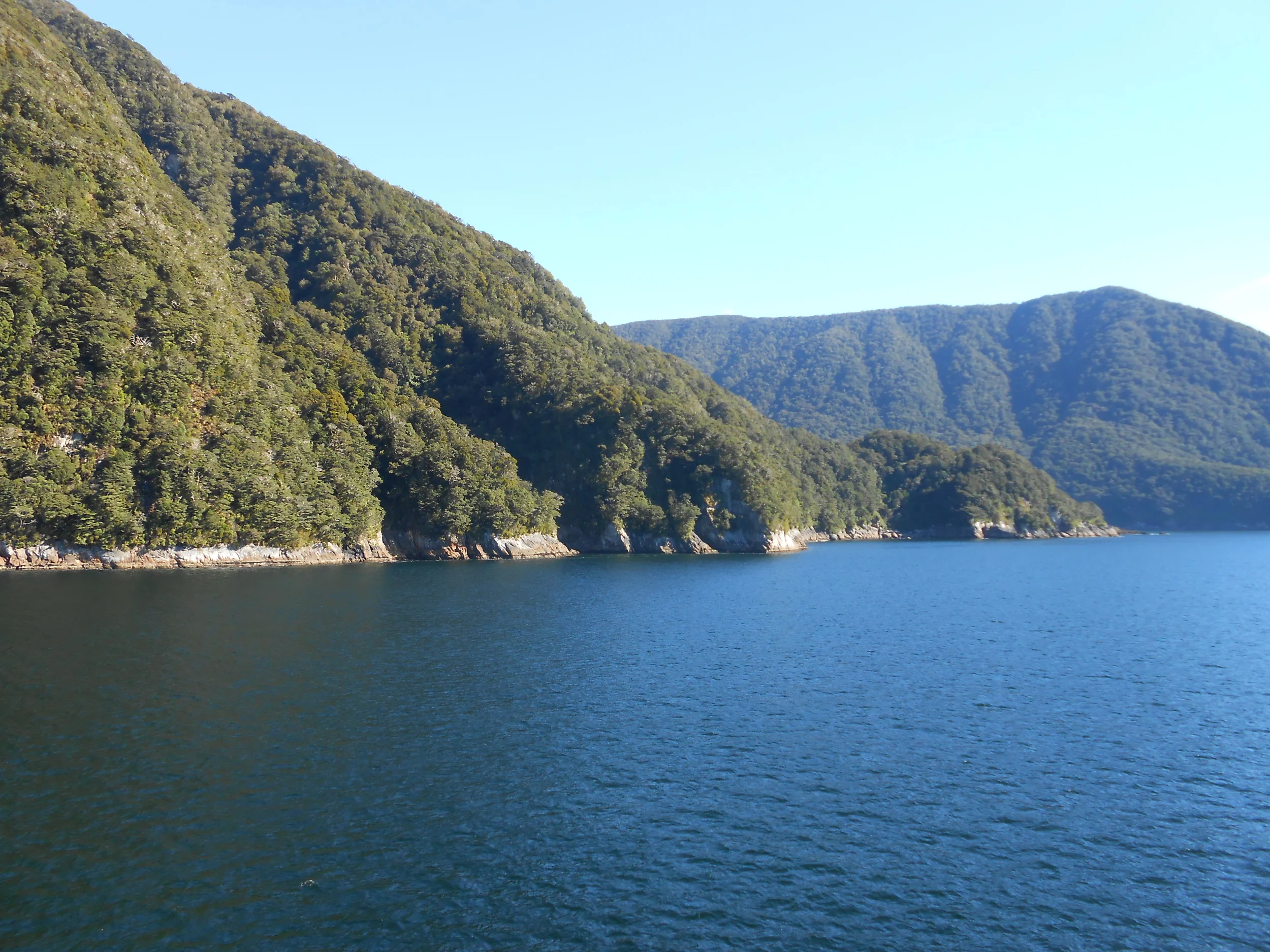 New Zealand (9).jpg