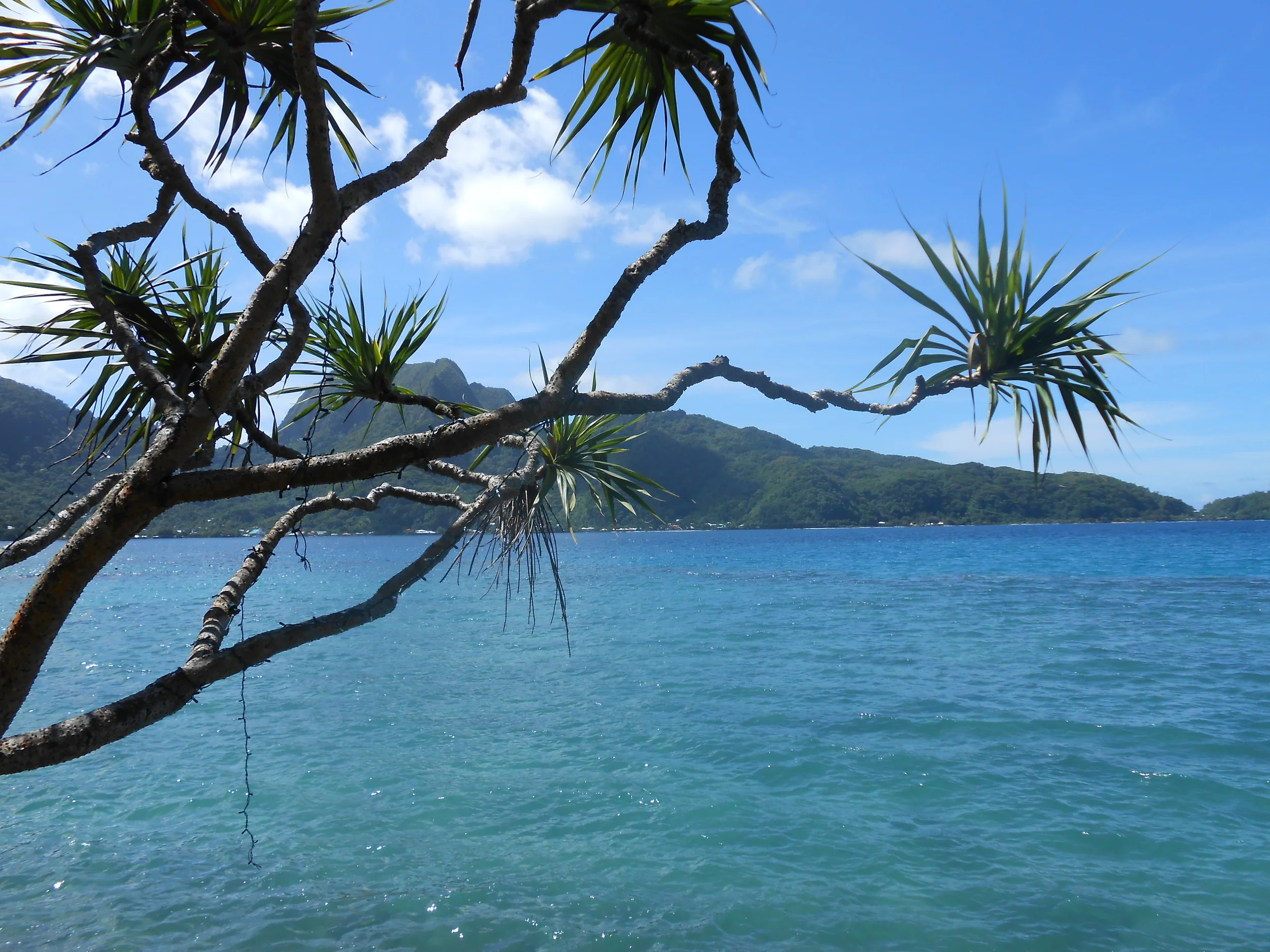 Tahiti (1).jpg