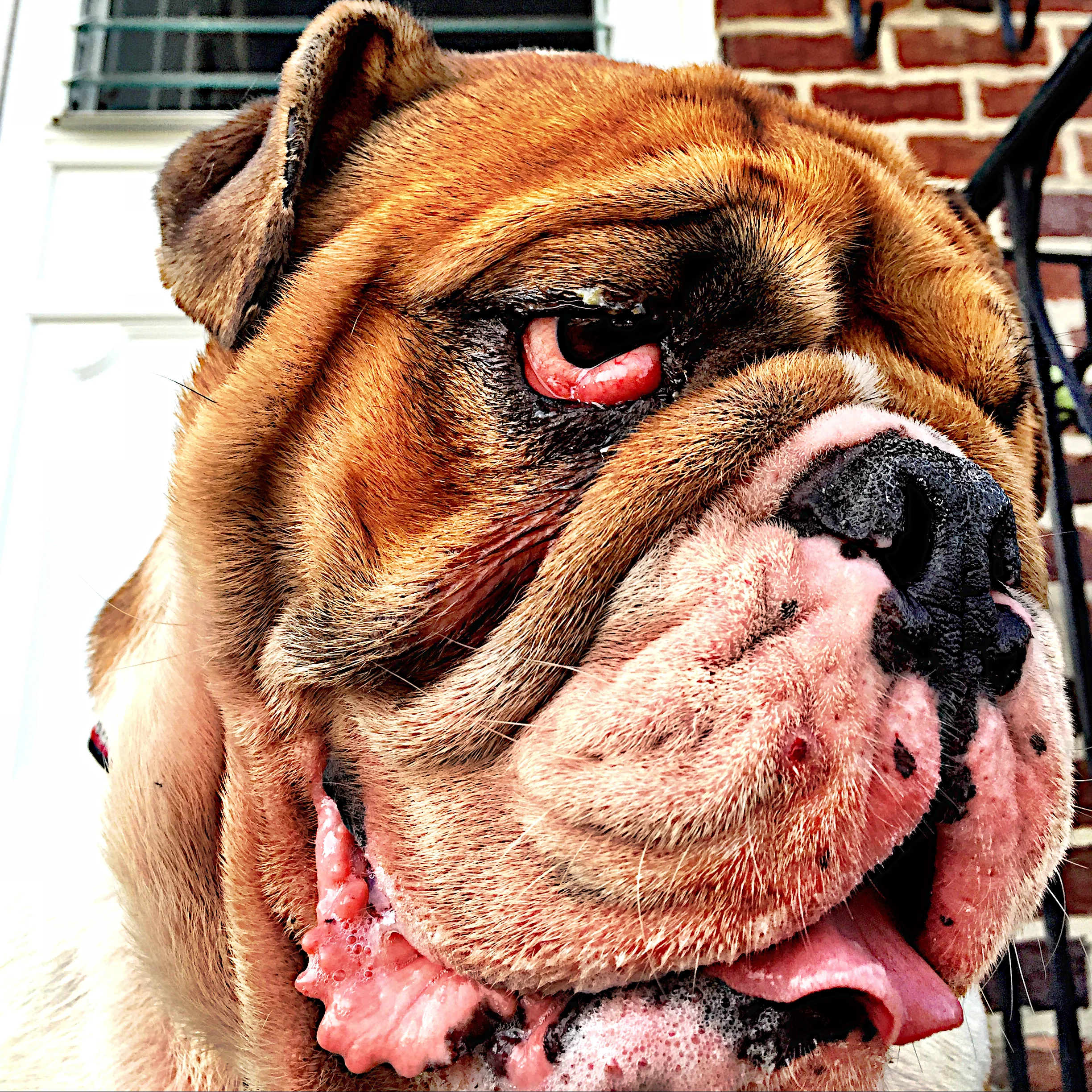 Ralph 2 years old