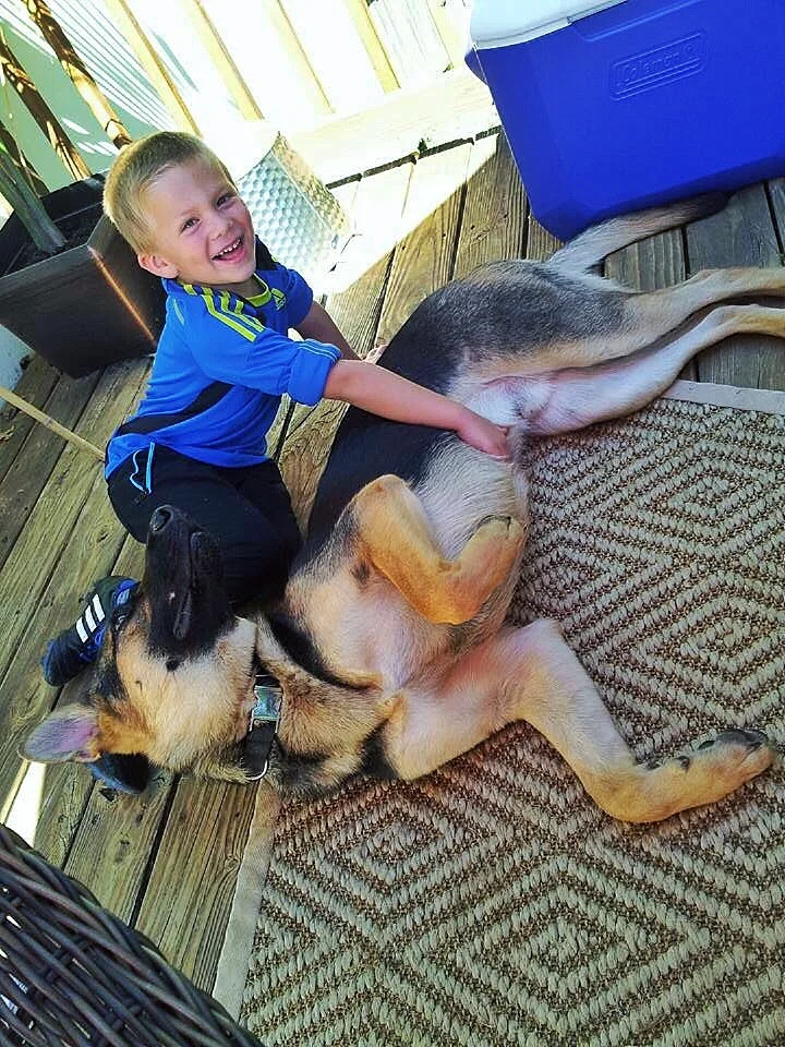 Ranger Brother belly rubs
